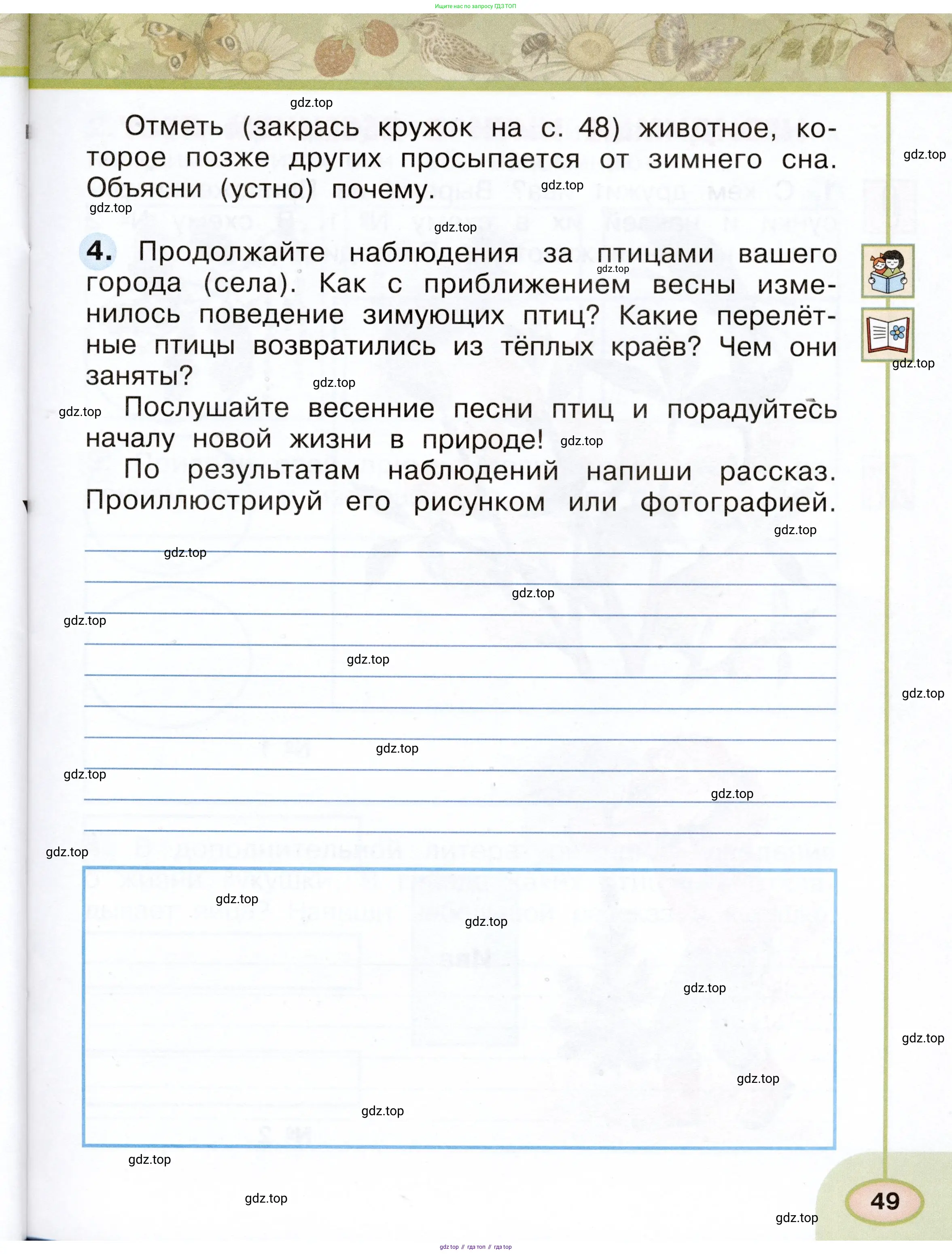 Окружающий мир, 2 класс рабочая тетрадь, авторы: Плешаков Андрей Анатольевич, Новицкая Марина Юрьевна, издательство Просвещение, Москва, 2019, белого цвета, Часть 1, страница 49