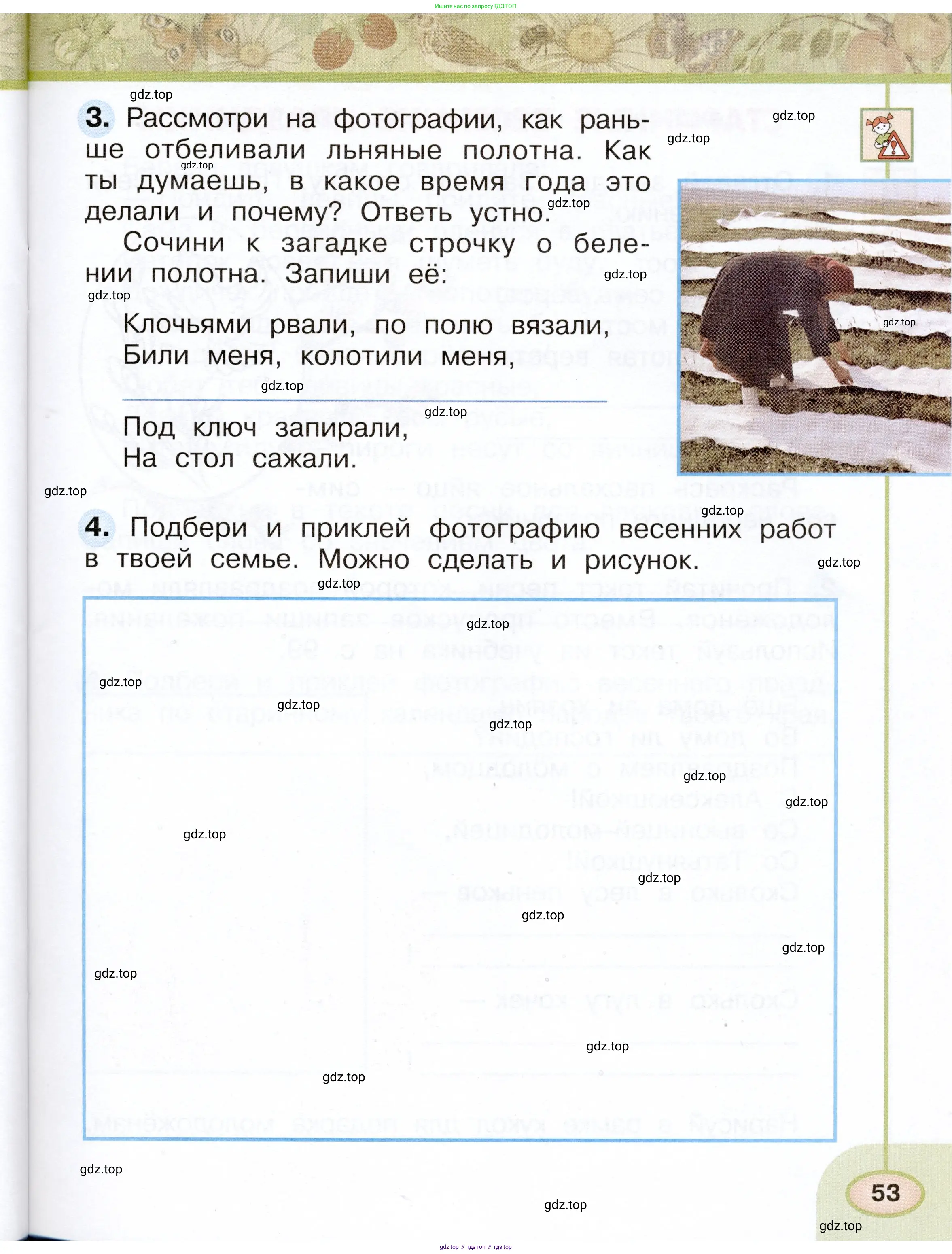 Окружающий мир, 2 класс рабочая тетрадь, авторы: Плешаков Андрей Анатольевич, Новицкая Марина Юрьевна, издательство Просвещение, Москва, 2019, белого цвета, Часть 1, страница 53
