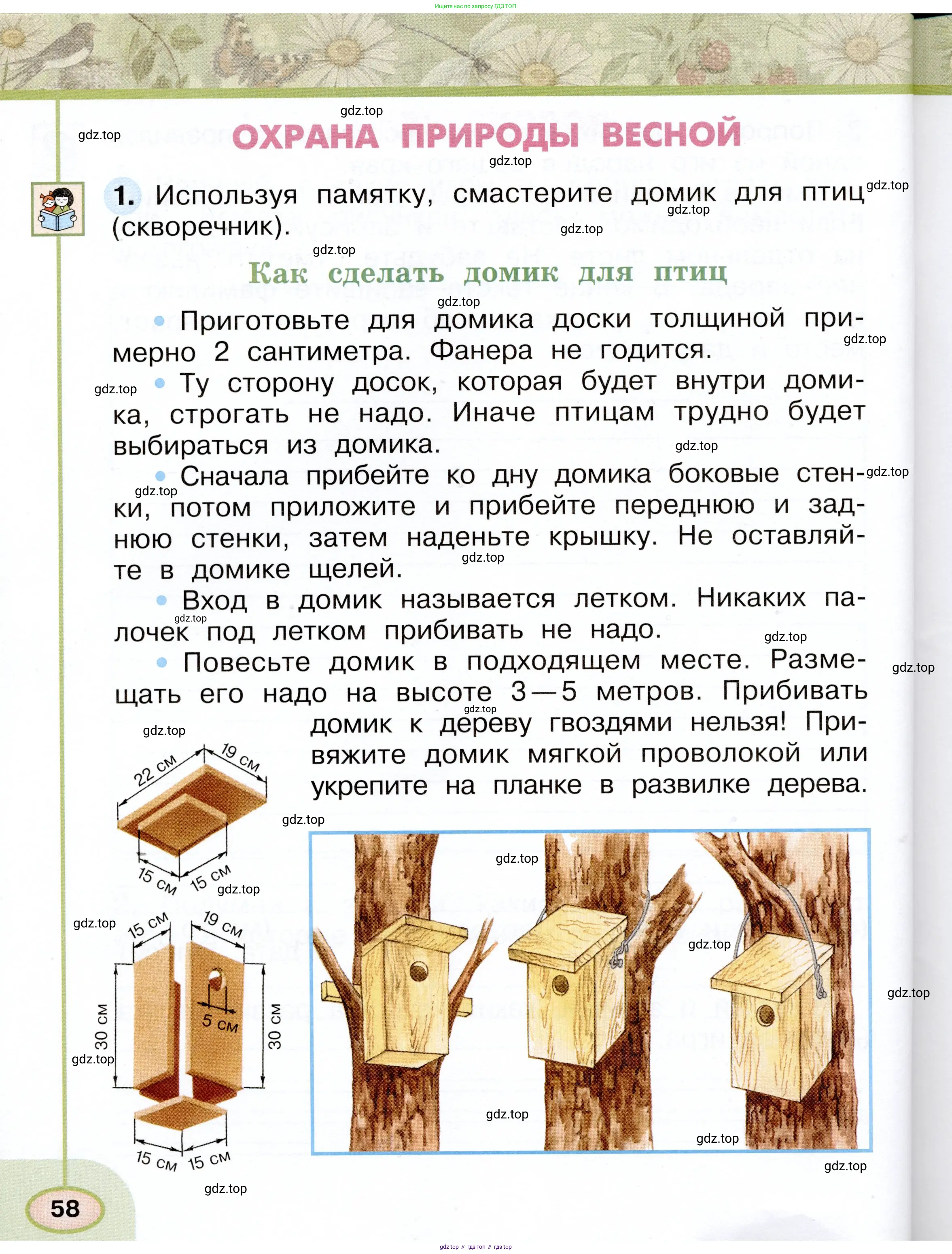 Окружающий мир, 2 класс рабочая тетрадь, авторы: Плешаков Андрей Анатольевич, Новицкая Марина Юрьевна, издательство Просвещение, Москва, 2019, белого цвета, Часть 1, страница 58