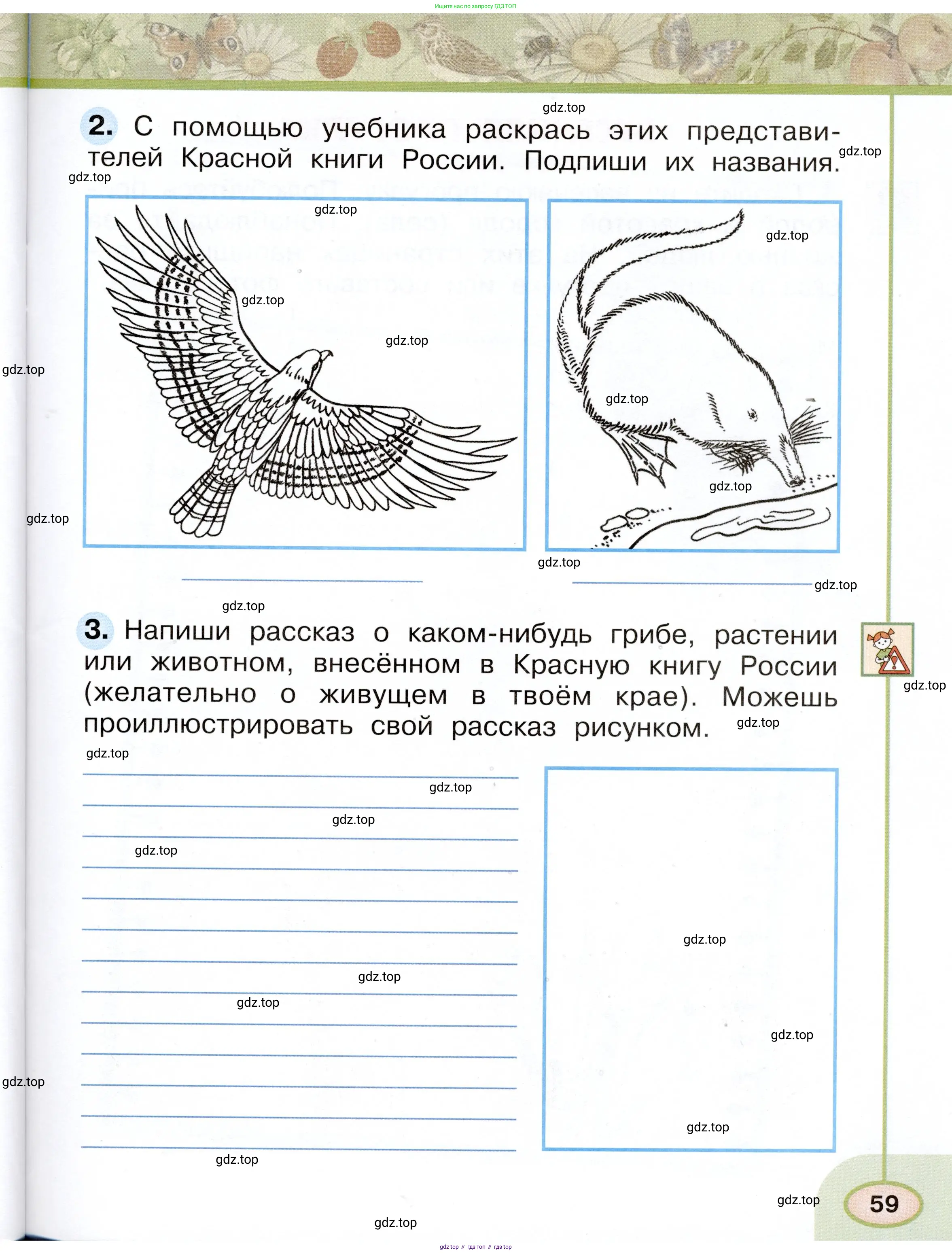 Окружающий мир, 2 класс рабочая тетрадь, авторы: Плешаков Андрей Анатольевич, Новицкая Марина Юрьевна, издательство Просвещение, Москва, 2019, белого цвета, Часть 1, страница 59