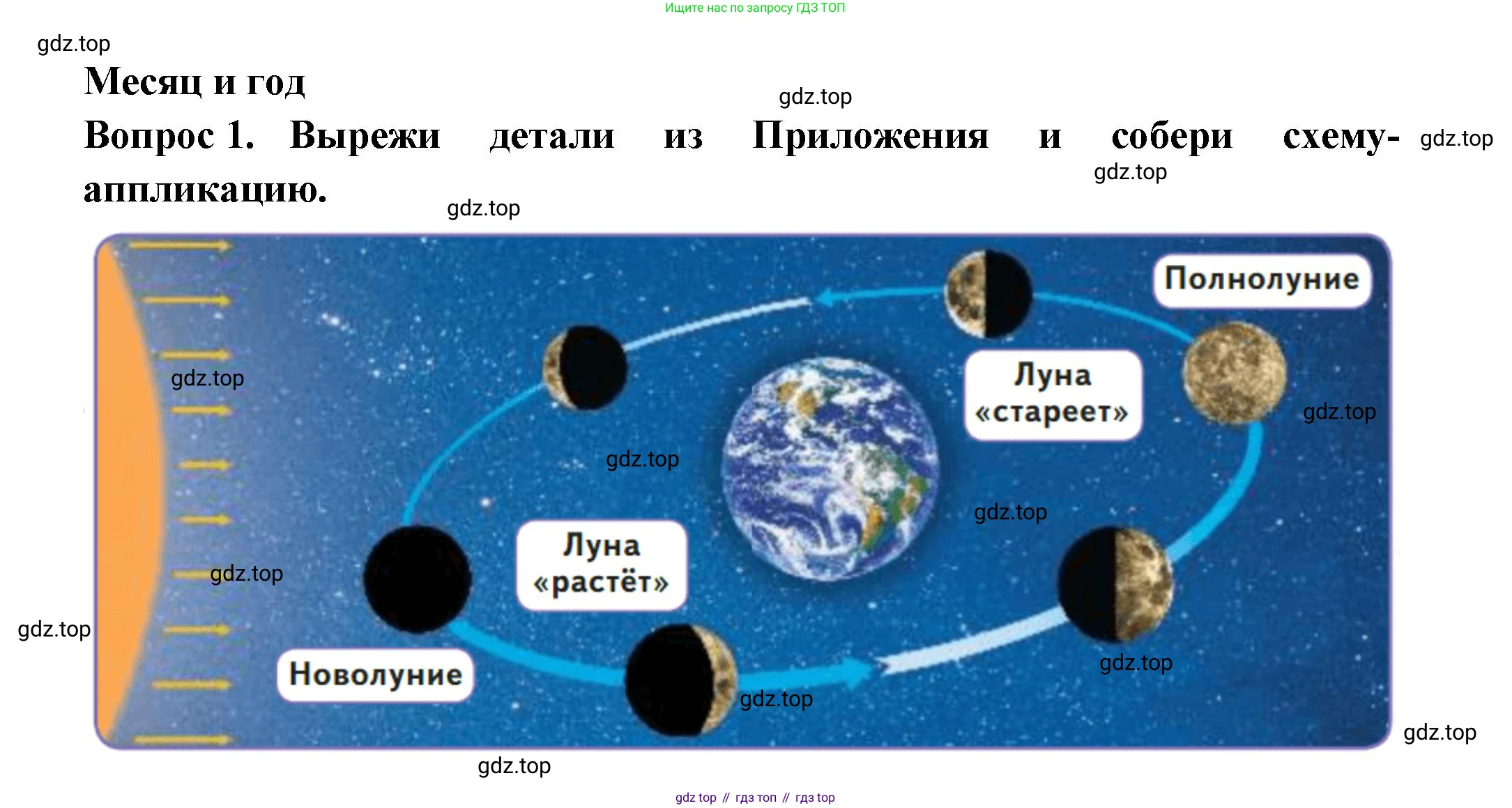 Окружающий мир, 2 класс рабочая тетрадь, авторы: Плешаков Андрей Анатольевич, Новицкая Марина Юрьевна, издательство Просвещение, Москва, 2019, белого цвета, Часть 1, страница 18, номер 1, Решение