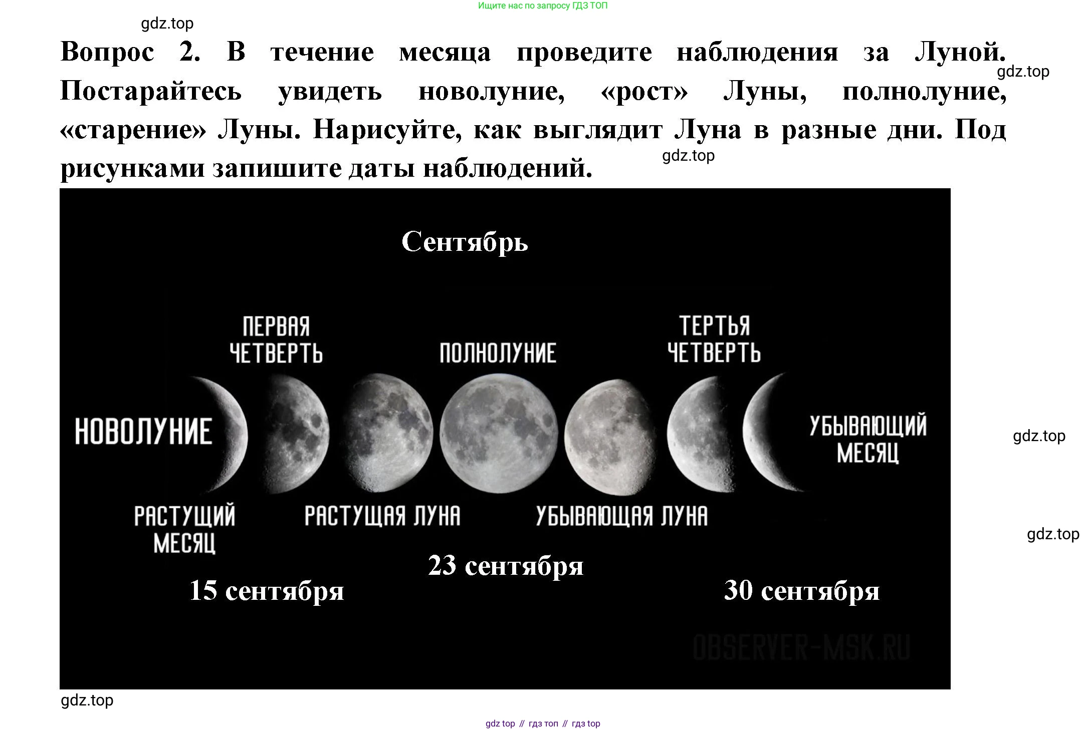 Окружающий мир, 2 класс рабочая тетрадь, авторы: Плешаков Андрей Анатольевич, Новицкая Марина Юрьевна, издательство Просвещение, Москва, 2019, белого цвета, Часть 1, страница 18, номер 2, Решение