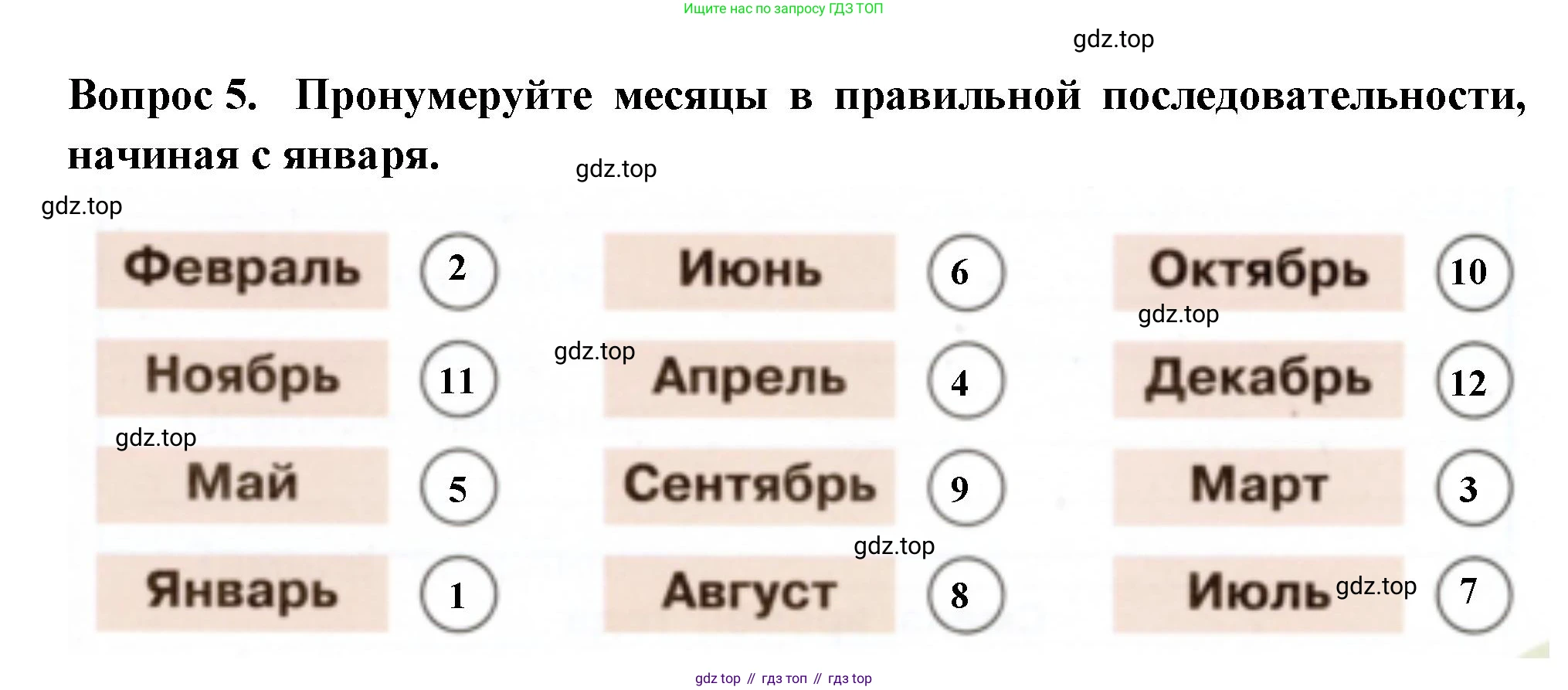 Окружающий мир, 2 класс рабочая тетрадь, авторы: Плешаков Андрей Анатольевич, Новицкая Марина Юрьевна, издательство Просвещение, Москва, 2019, белого цвета, Часть 1, страница 19, номер 5, Решение