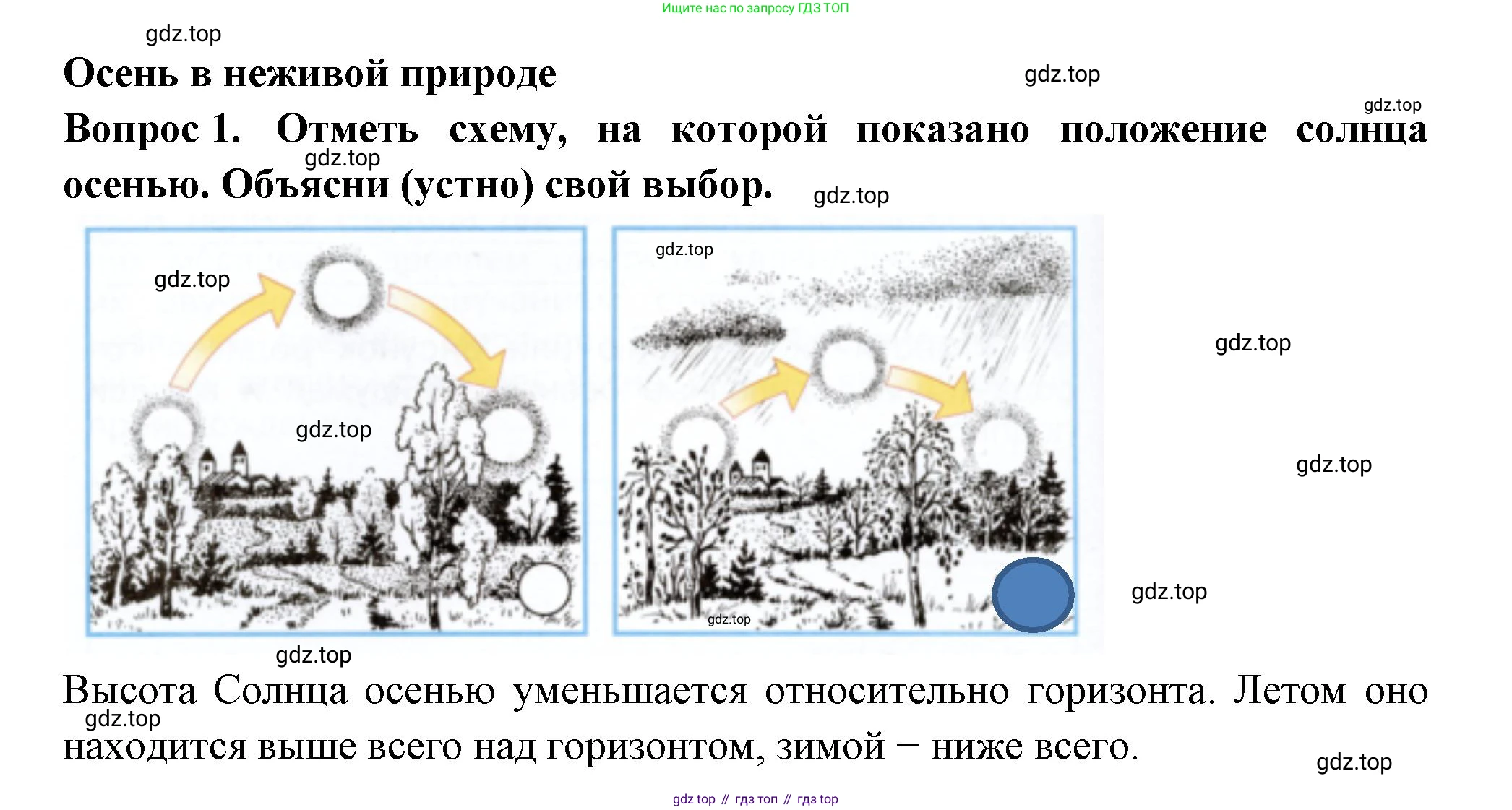 Окружающий мир, 2 класс рабочая тетрадь, авторы: Плешаков Андрей Анатольевич, Новицкая Марина Юрьевна, издательство Просвещение, Москва, 2019, белого цвета, Часть 1, страница 38, номер 1, Решение