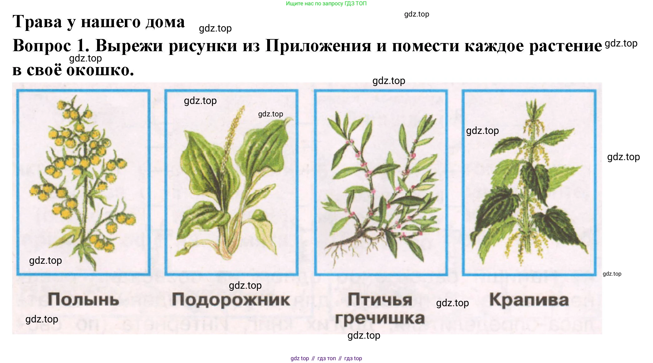 Окружающий мир, 2 класс рабочая тетрадь, авторы: Плешаков Андрей Анатольевич, Новицкая Марина Юрьевна, издательство Просвещение, Москва, 2019, белого цвета, Часть 1, страница 44, номер 1, Решение