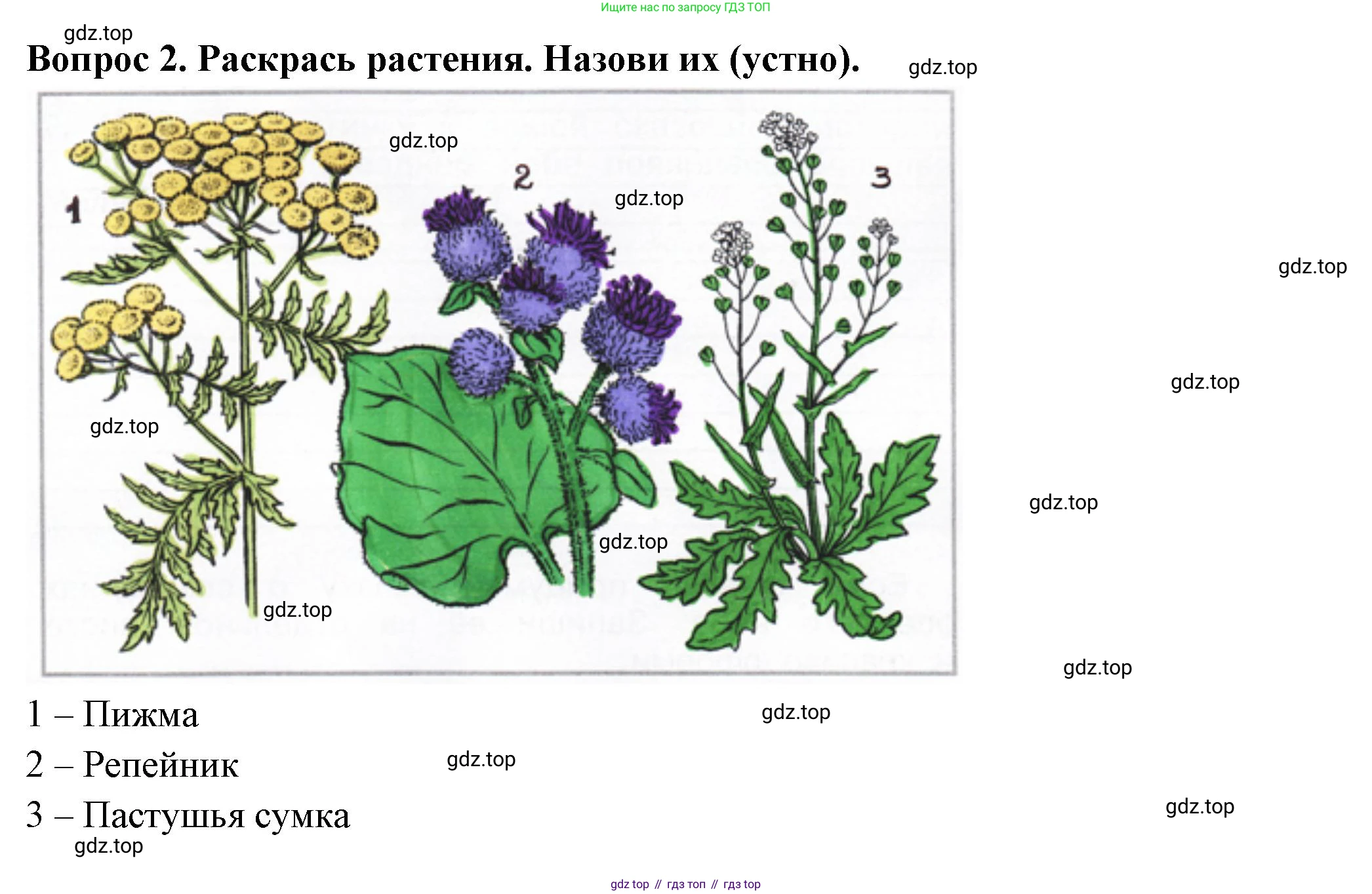 Окружающий мир, 2 класс рабочая тетрадь, авторы: Плешаков Андрей Анатольевич, Новицкая Марина Юрьевна, издательство Просвещение, Москва, 2019, белого цвета, Часть 1, страница 44, номер 2, Решение
