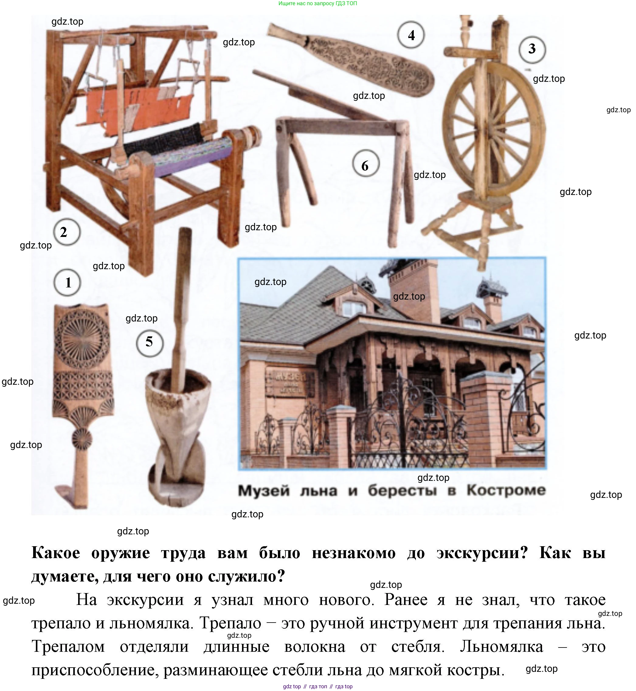 Окружающий мир, 2 класс рабочая тетрадь, авторы: Плешаков Андрей Анатольевич, Новицкая Марина Юрьевна, издательство Просвещение, Москва, 2019, белого цвета, Часть 1, страница 47, номер 3, Решение (продолжение 2)