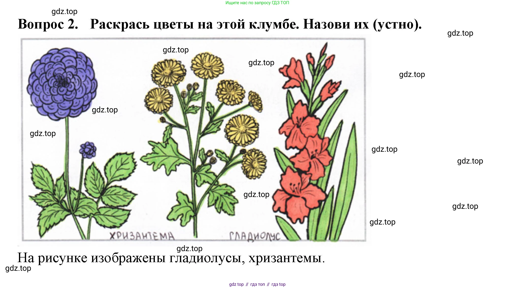 Окружающий мир, 2 класс рабочая тетрадь, авторы: Плешаков Андрей Анатольевич, Новицкая Марина Юрьевна, издательство Просвещение, Москва, 2019, белого цвета, Часть 1, страница 50, номер 2, Решение