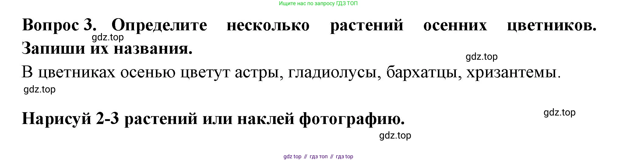 Окружающий мир, 2 класс рабочая тетрадь, авторы: Плешаков Андрей Анатольевич, Новицкая Марина Юрьевна, издательство Просвещение, Москва, 2019, белого цвета, Часть 1, страница 51, номер 3, Решение