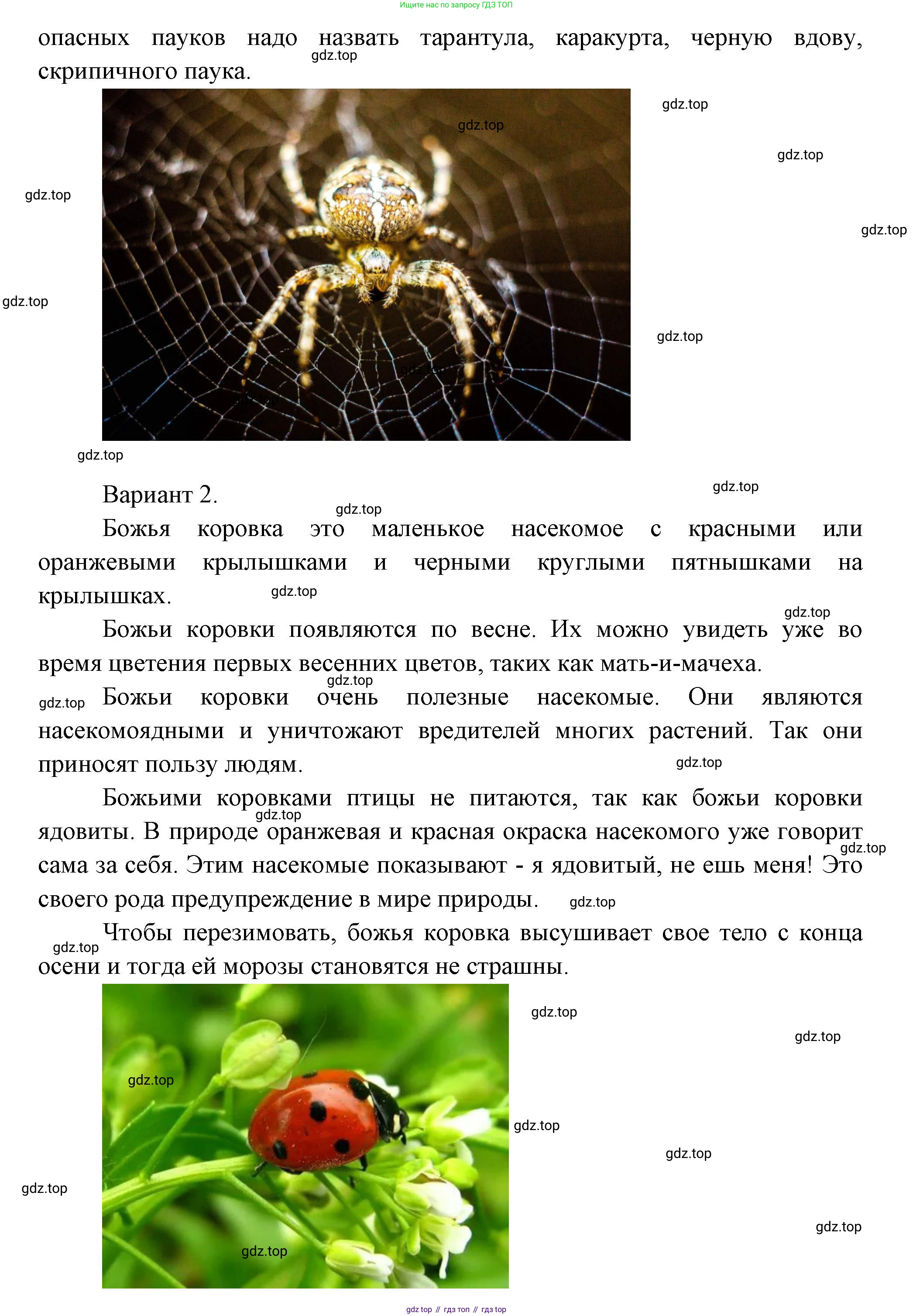 Окружающий мир, 2 класс рабочая тетрадь, авторы: Плешаков Андрей Анатольевич, Новицкая Марина Юрьевна, издательство Просвещение, Москва, 2019, белого цвета, Часть 1, страница 55, номер 4, Решение (продолжение 2)