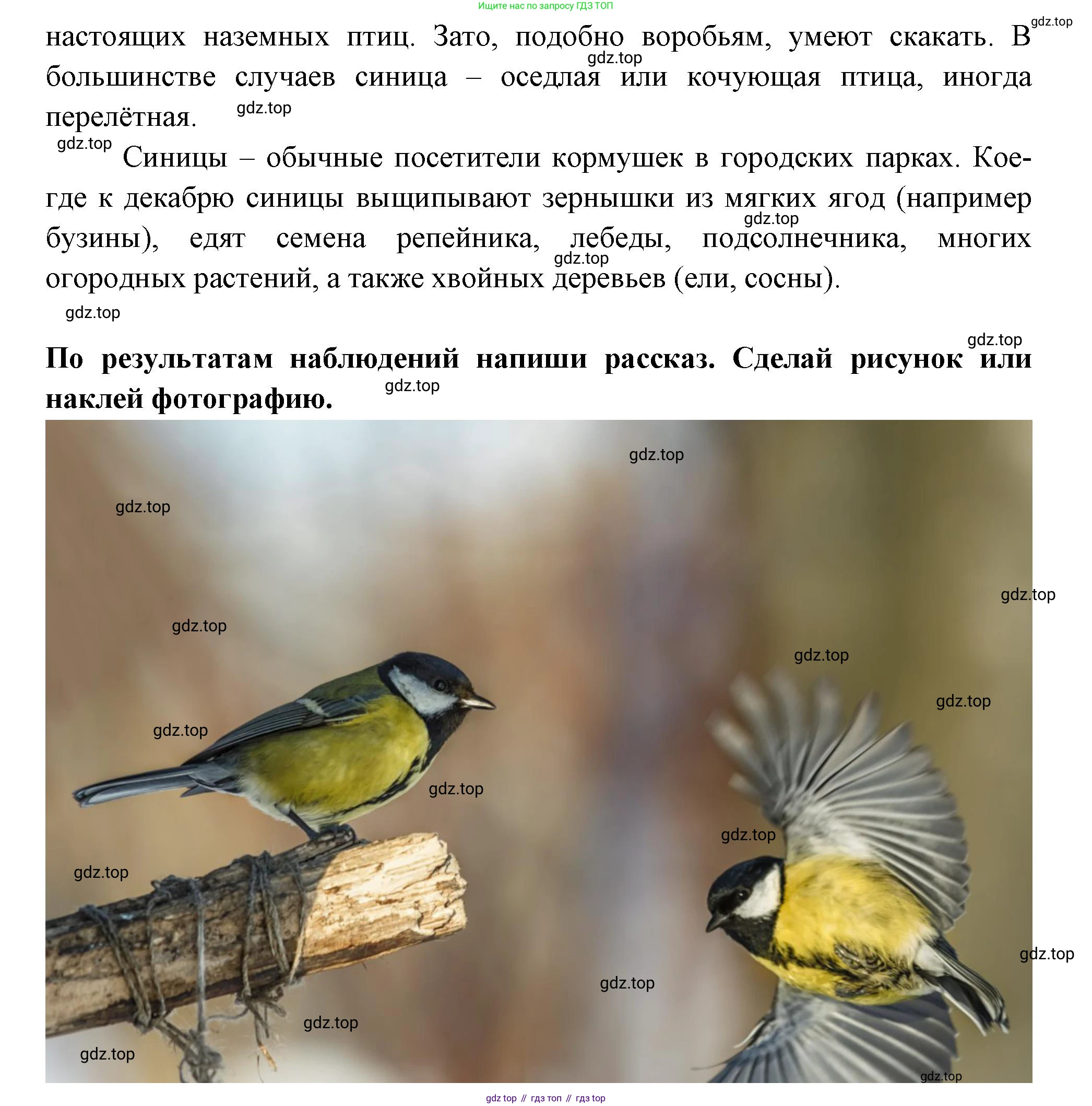 Окружающий мир, 2 класс рабочая тетрадь, авторы: Плешаков Андрей Анатольевич, Новицкая Марина Юрьевна, издательство Просвещение, Москва, 2019, белого цвета, Часть 1, страница 57, номер 3, Решение (продолжение 2)