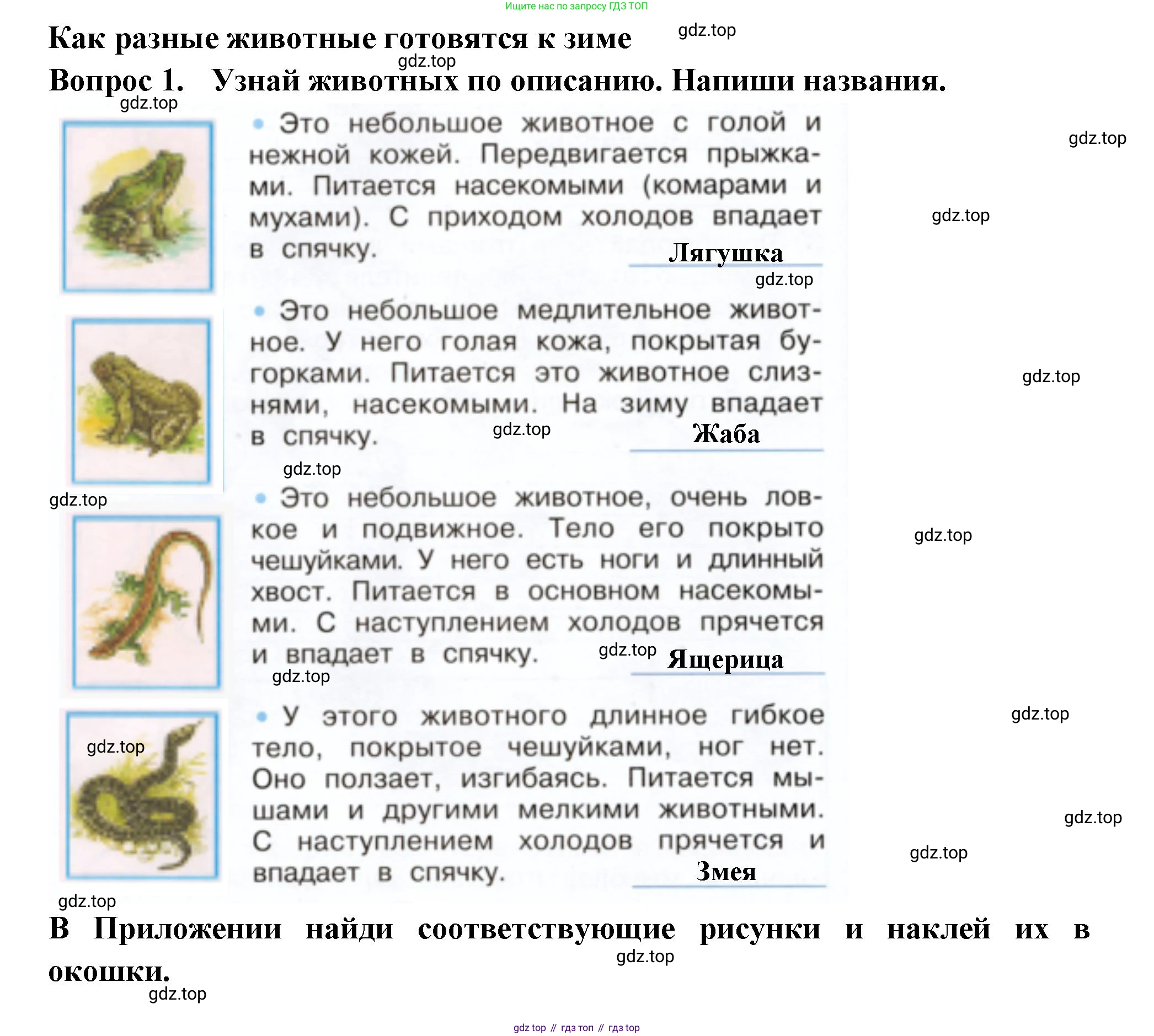 Окружающий мир, 2 класс рабочая тетрадь, авторы: Плешаков Андрей Анатольевич, Новицкая Марина Юрьевна, издательство Просвещение, Москва, 2019, белого цвета, Часть 1, страница 58, номер 1, Решение