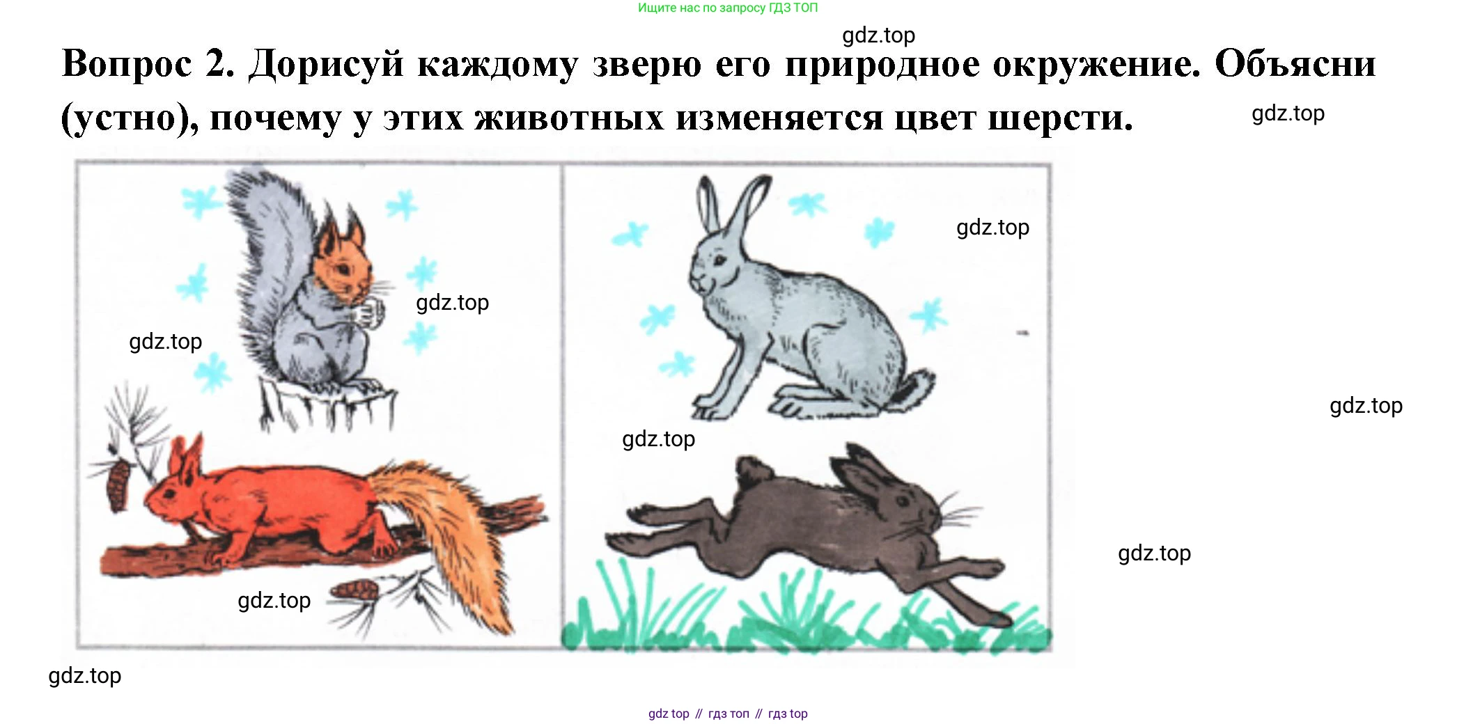 Окружающий мир, 2 класс рабочая тетрадь, авторы: Плешаков Андрей Анатольевич, Новицкая Марина Юрьевна, издательство Просвещение, Москва, 2019, белого цвета, Часть 1, страница 59, номер 2, Решение