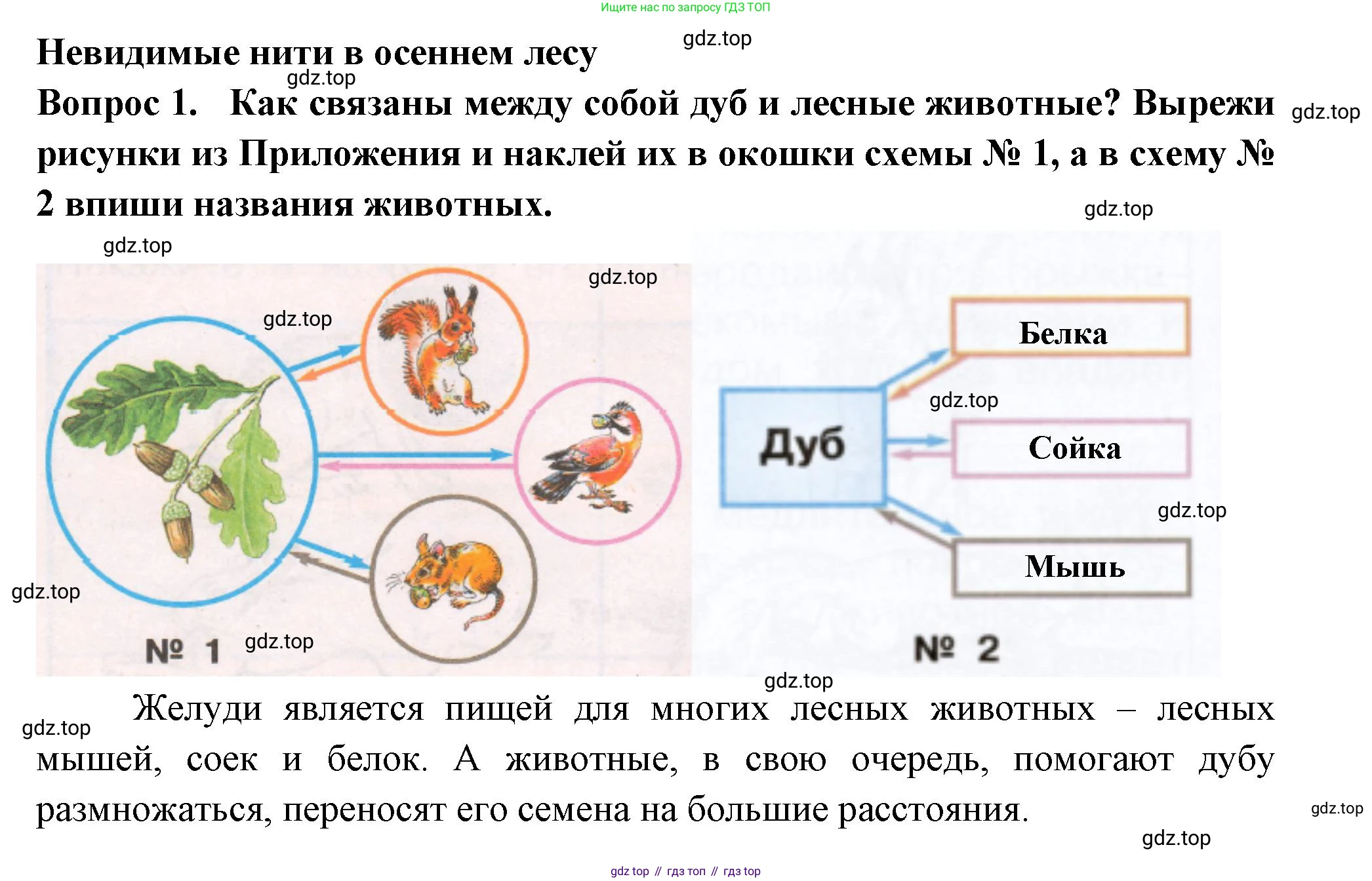 Окружающий мир, 2 класс рабочая тетрадь, авторы: Плешаков Андрей Анатольевич, Новицкая Марина Юрьевна, издательство Просвещение, Москва, 2019, белого цвета, Часть 1, страница 60, номер 1, Решение