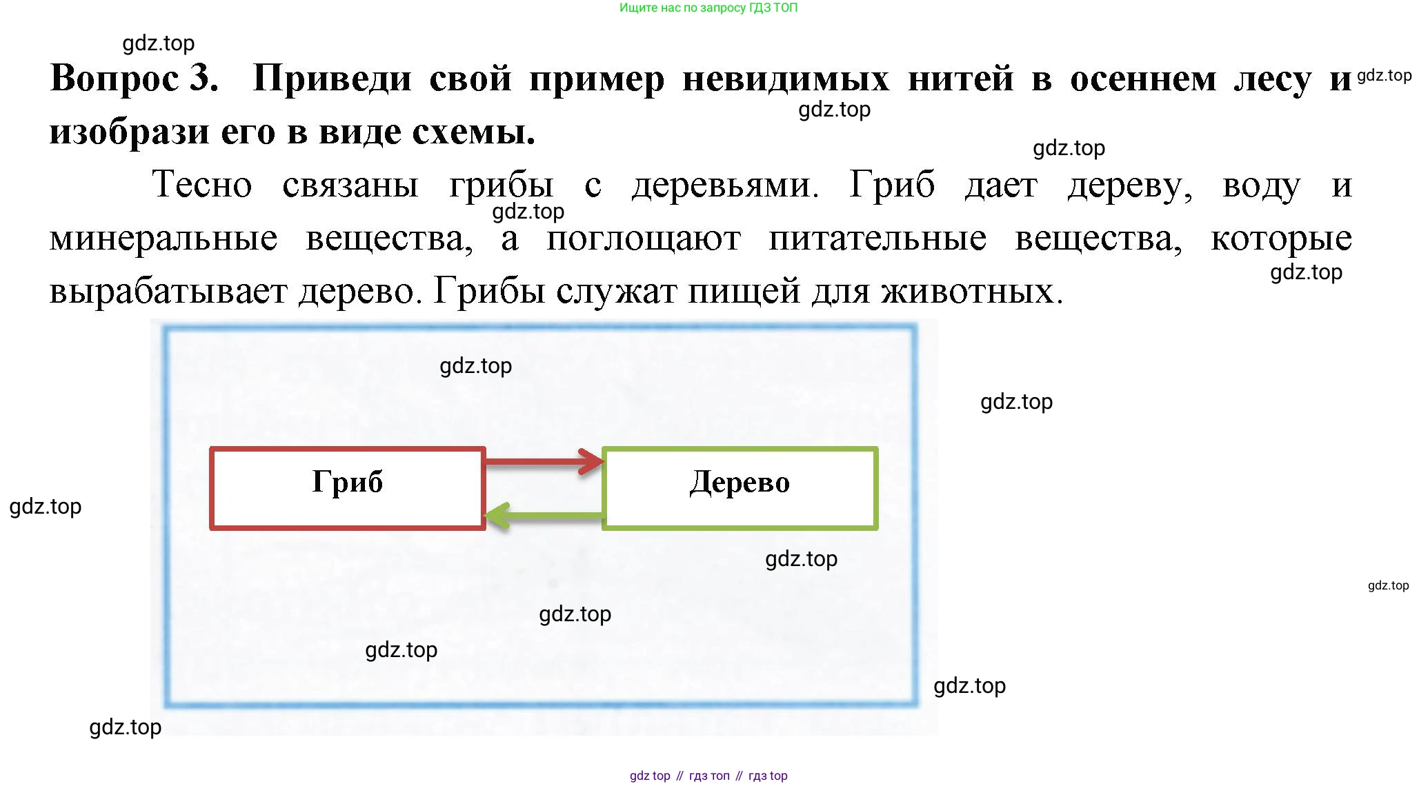 Окружающий мир, 2 класс рабочая тетрадь, авторы: Плешаков Андрей Анатольевич, Новицкая Марина Юрьевна, издательство Просвещение, Москва, 2019, белого цвета, Часть 1, страница 61, номер 3, Решение