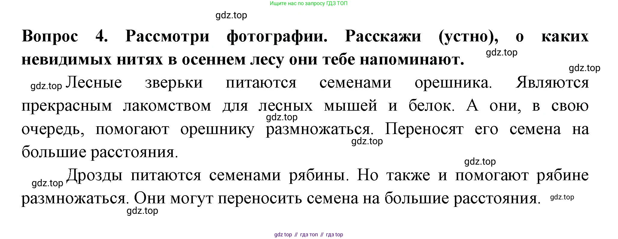 Окружающий мир, 2 класс рабочая тетрадь, авторы: Плешаков Андрей Анатольевич, Новицкая Марина Юрьевна, издательство Просвещение, Москва, 2019, белого цвета, Часть 1, страница 61, номер 4, Решение