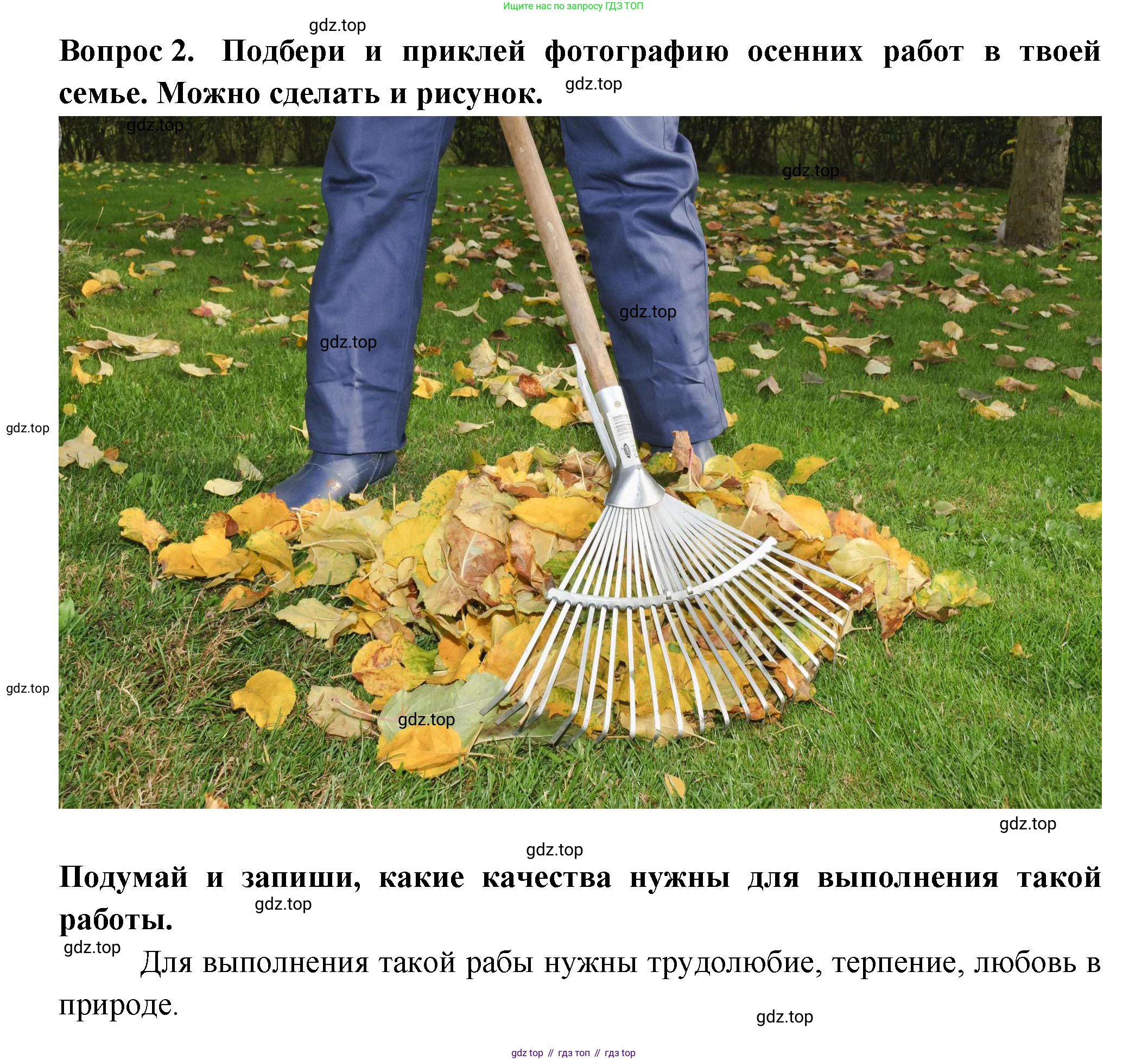 Окружающий мир, 2 класс рабочая тетрадь, авторы: Плешаков Андрей Анатольевич, Новицкая Марина Юрьевна, издательство Просвещение, Москва, 2019, белого цвета, Часть 1, страница 62, номер 2, Решение