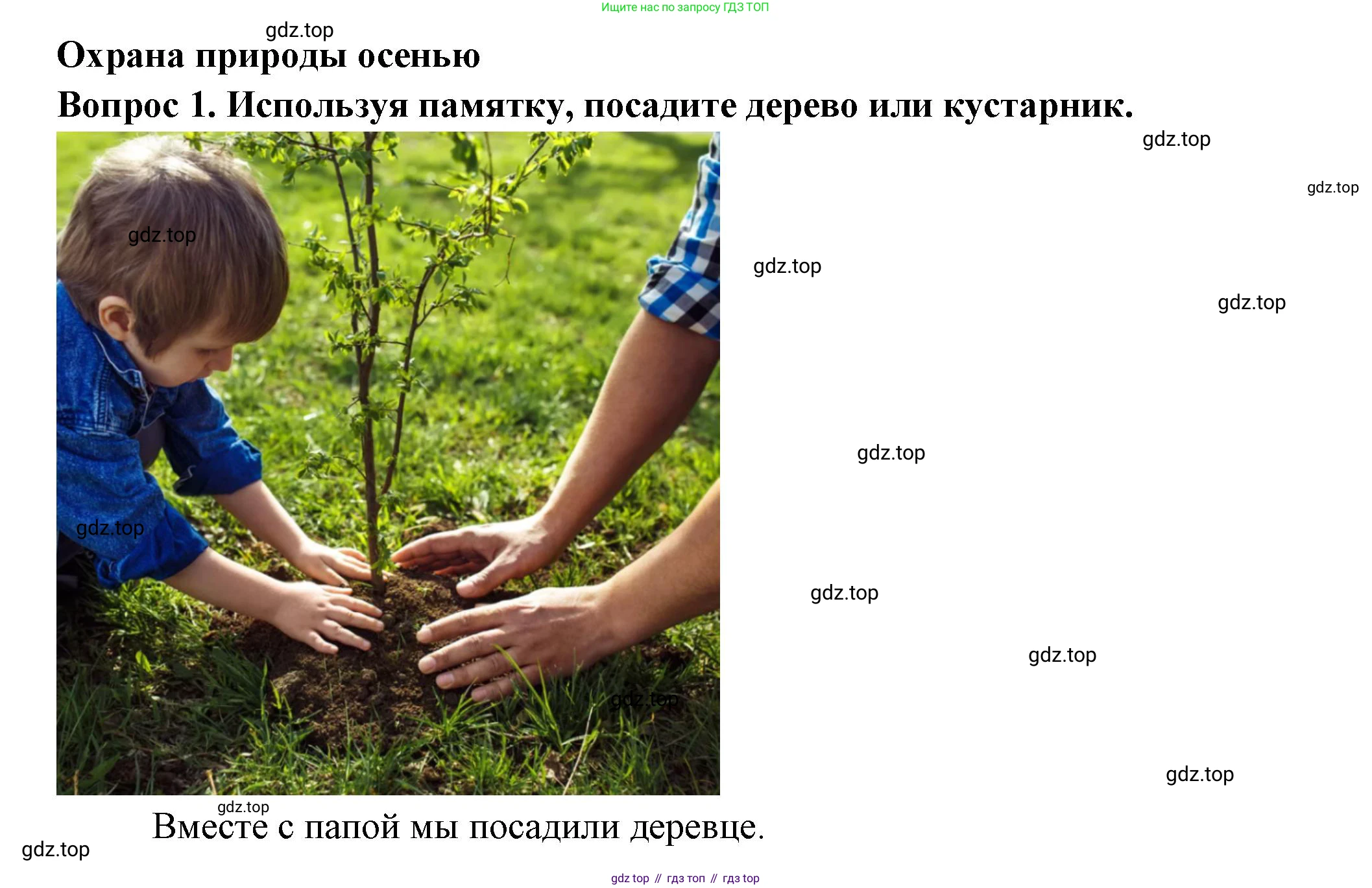 Окружающий мир, 2 класс рабочая тетрадь, авторы: Плешаков Андрей Анатольевич, Новицкая Марина Юрьевна, издательство Просвещение, Москва, 2019, белого цвета, Часть 1, страница 66, номер 1, Решение
