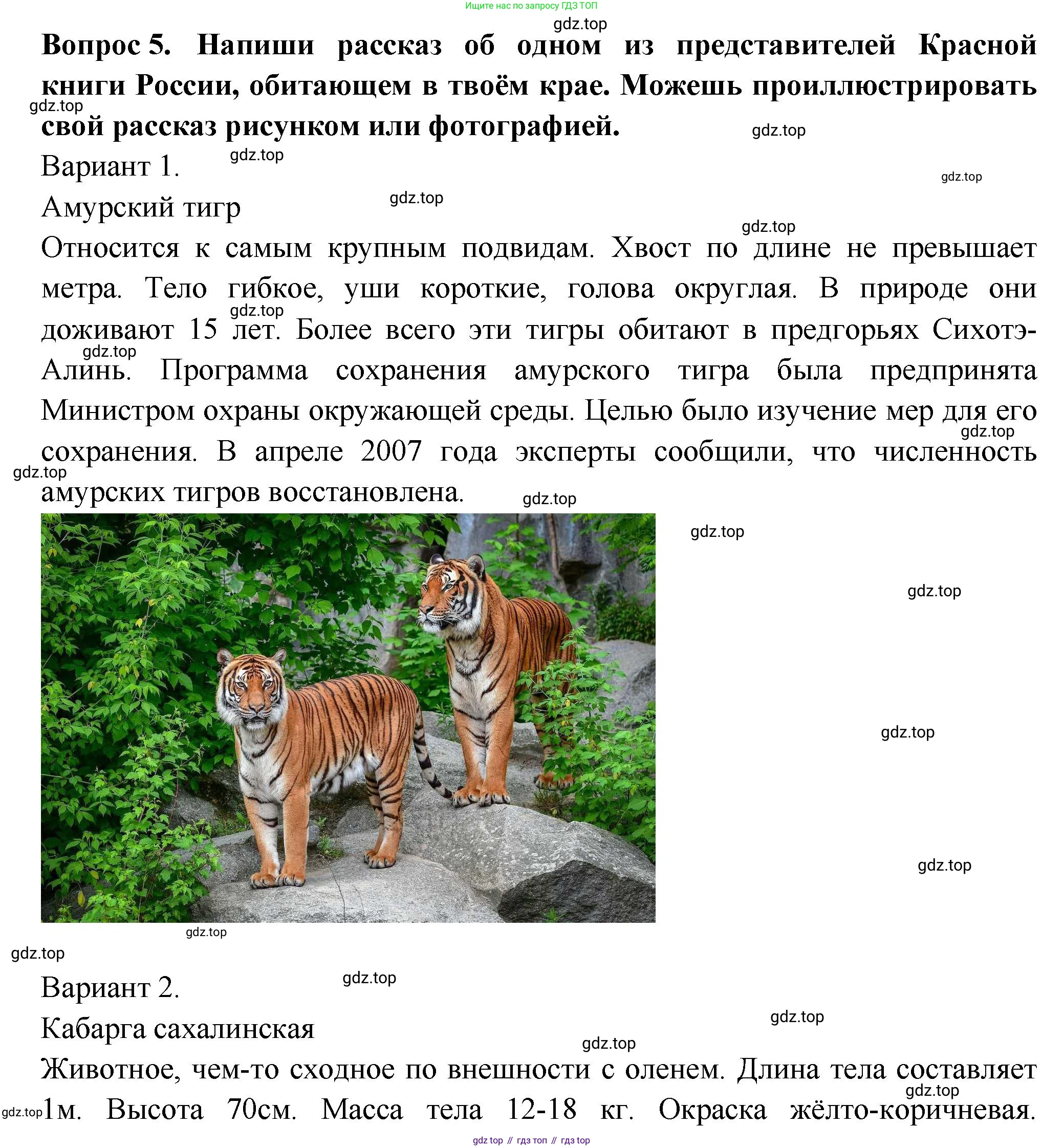 Окружающий мир, 2 класс рабочая тетрадь, авторы: Плешаков Андрей Анатольевич, Новицкая Марина Юрьевна, издательство Просвещение, Москва, 2019, белого цвета, Часть 1, страница 69, номер 5, Решение