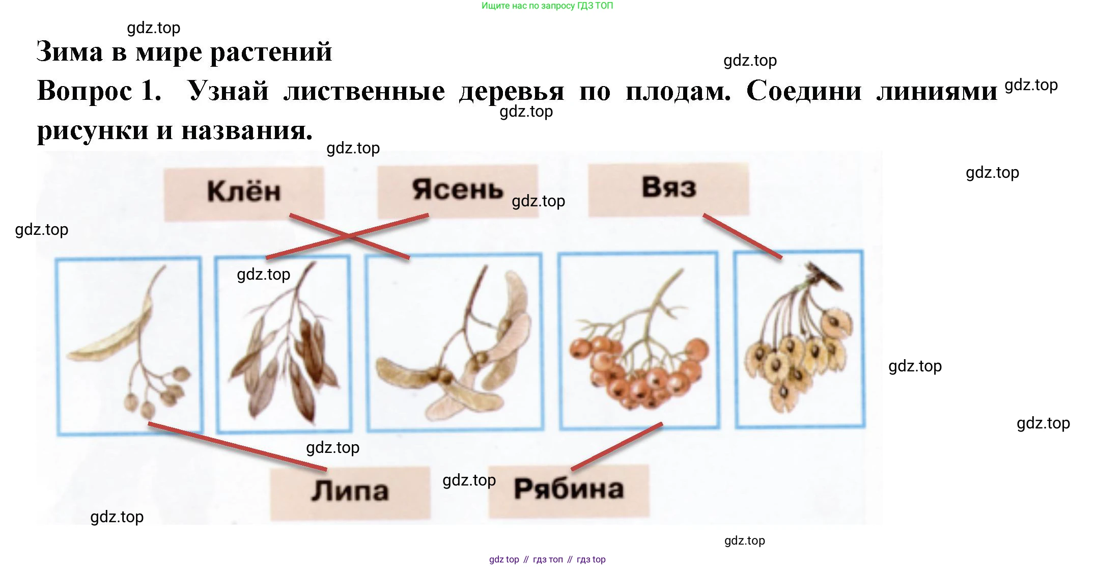 Окружающий мир, 2 класс рабочая тетрадь, авторы: Плешаков Андрей Анатольевич, Новицкая Марина Юрьевна, издательство Просвещение, Москва, 2019, белого цвета, Часть 2, страница 12, номер 1, Решение