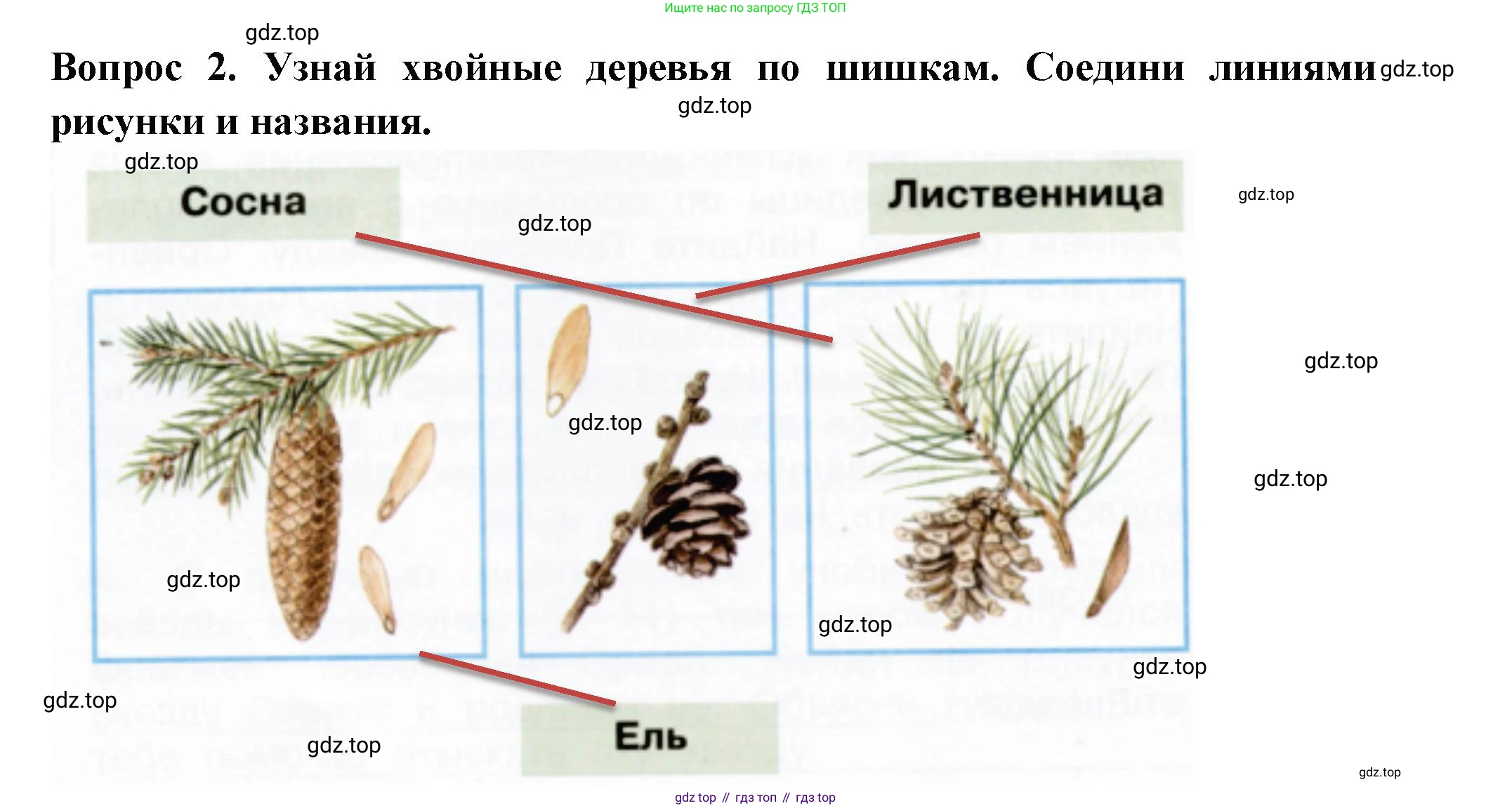 Окружающий мир, 2 класс рабочая тетрадь, авторы: Плешаков Андрей Анатольевич, Новицкая Марина Юрьевна, издательство Просвещение, Москва, 2019, белого цвета, Часть 2, страница 12, номер 2, Решение