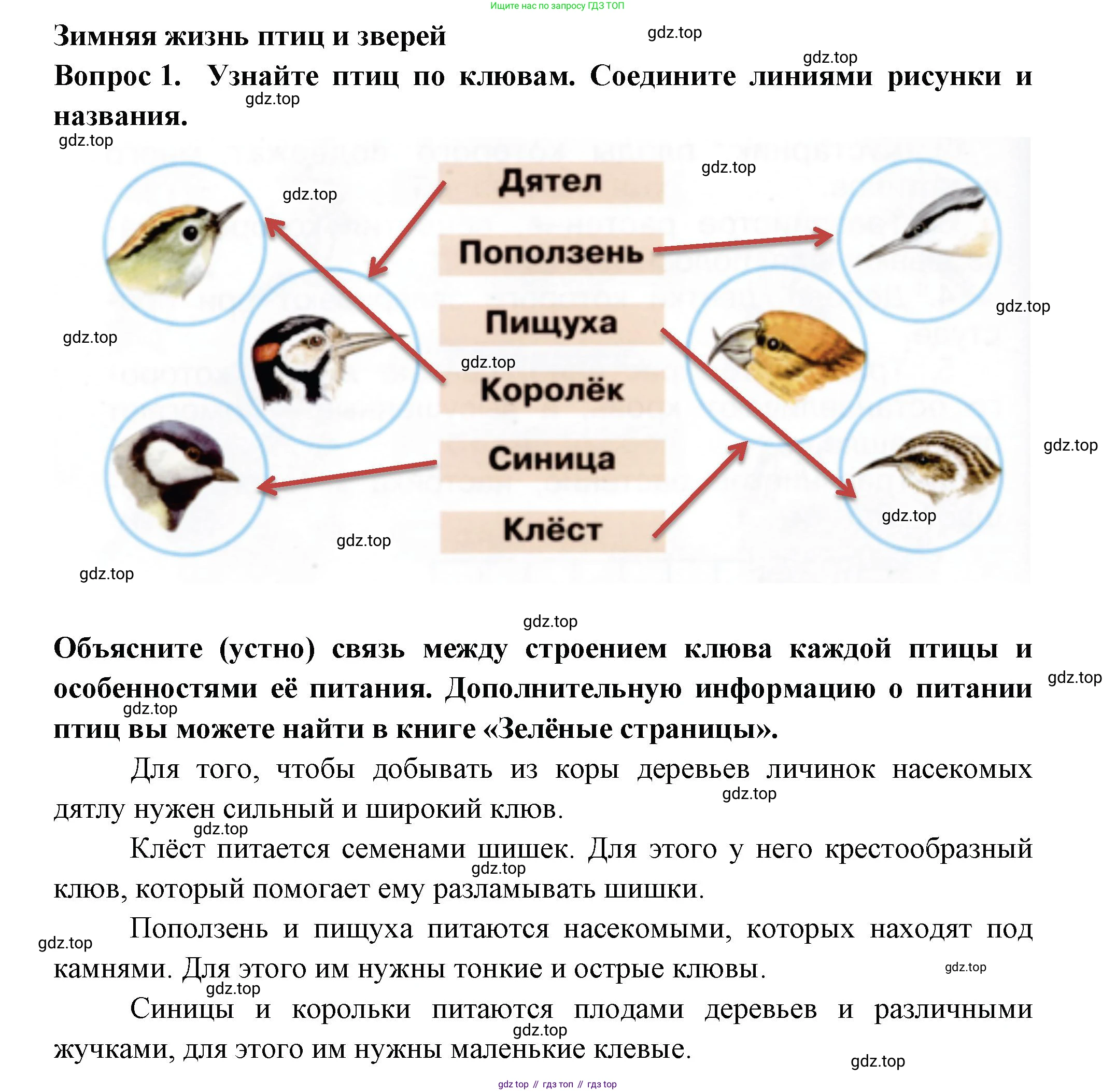 Окружающий мир, 2 класс рабочая тетрадь, авторы: Плешаков Андрей Анатольевич, Новицкая Марина Юрьевна, издательство Просвещение, Москва, 2019, белого цвета, Часть 2, страница 18, номер 1, Решение