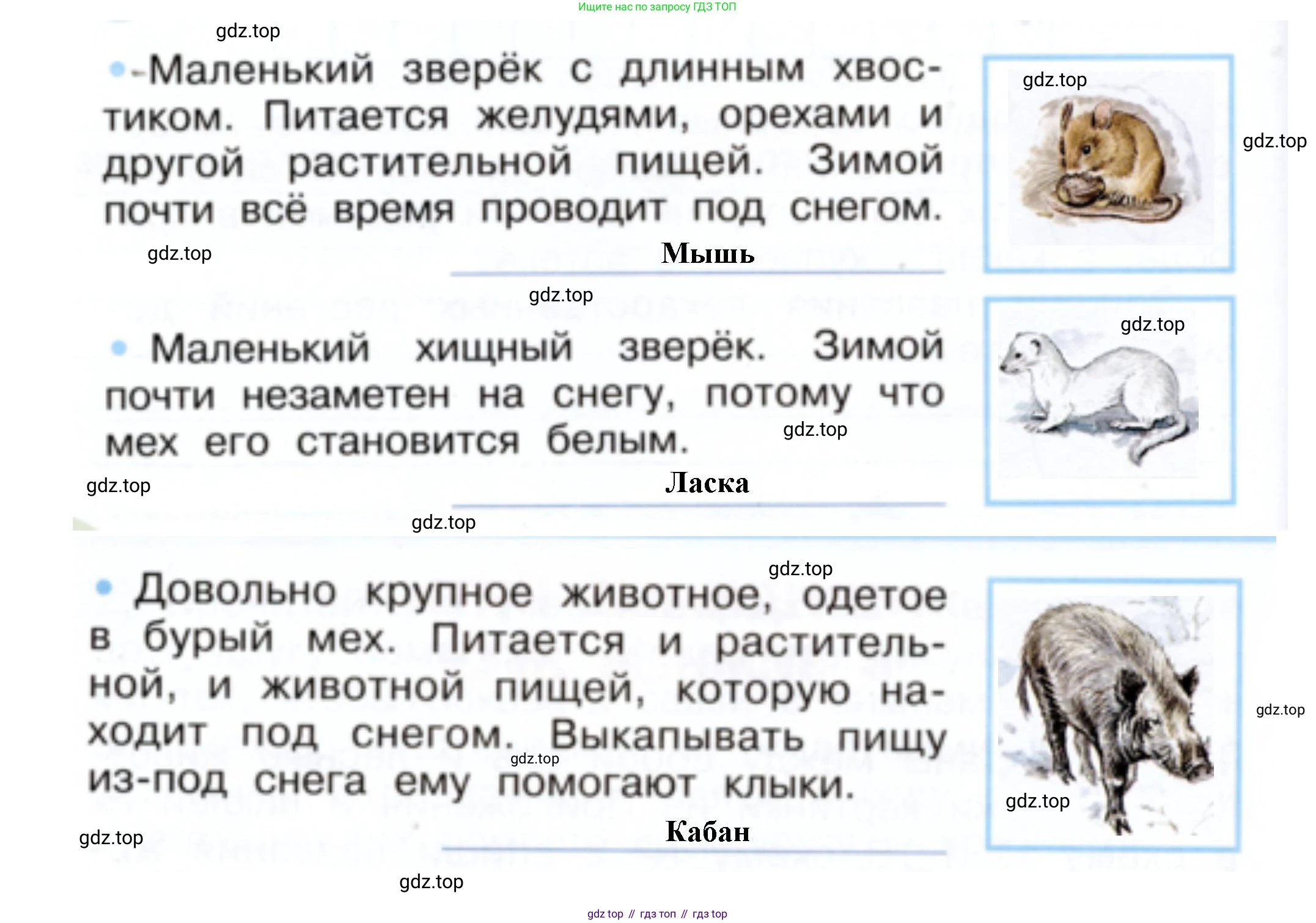 Окружающий мир, 2 класс рабочая тетрадь, авторы: Плешаков Андрей Анатольевич, Новицкая Марина Юрьевна, издательство Просвещение, Москва, 2019, белого цвета, Часть 2, страница 18, номер 2, Решение (продолжение 2)