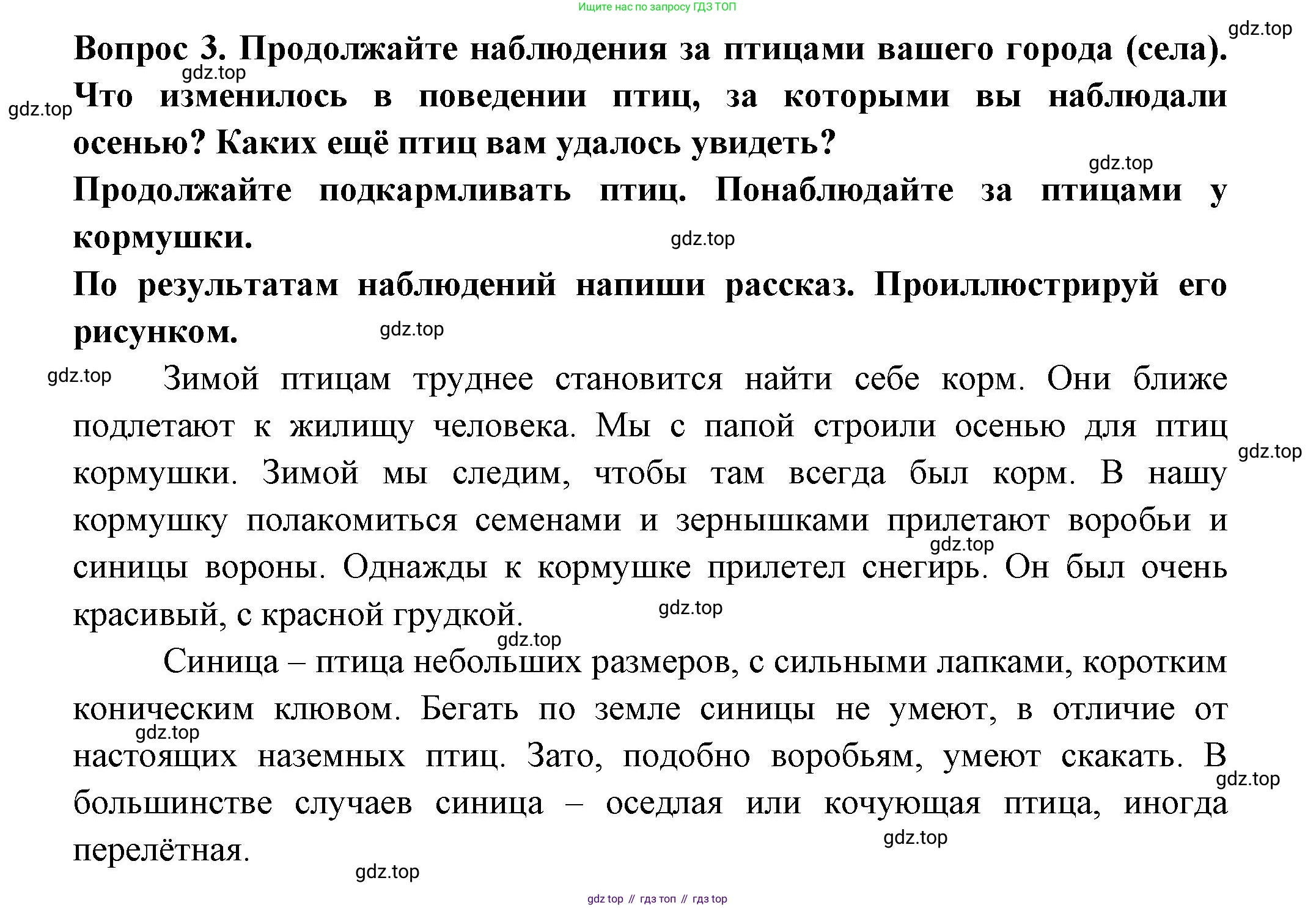Окружающий мир, 2 класс рабочая тетрадь, авторы: Плешаков Андрей Анатольевич, Новицкая Марина Юрьевна, издательство Просвещение, Москва, 2019, белого цвета, Часть 2, страница 19, номер 3, Решение