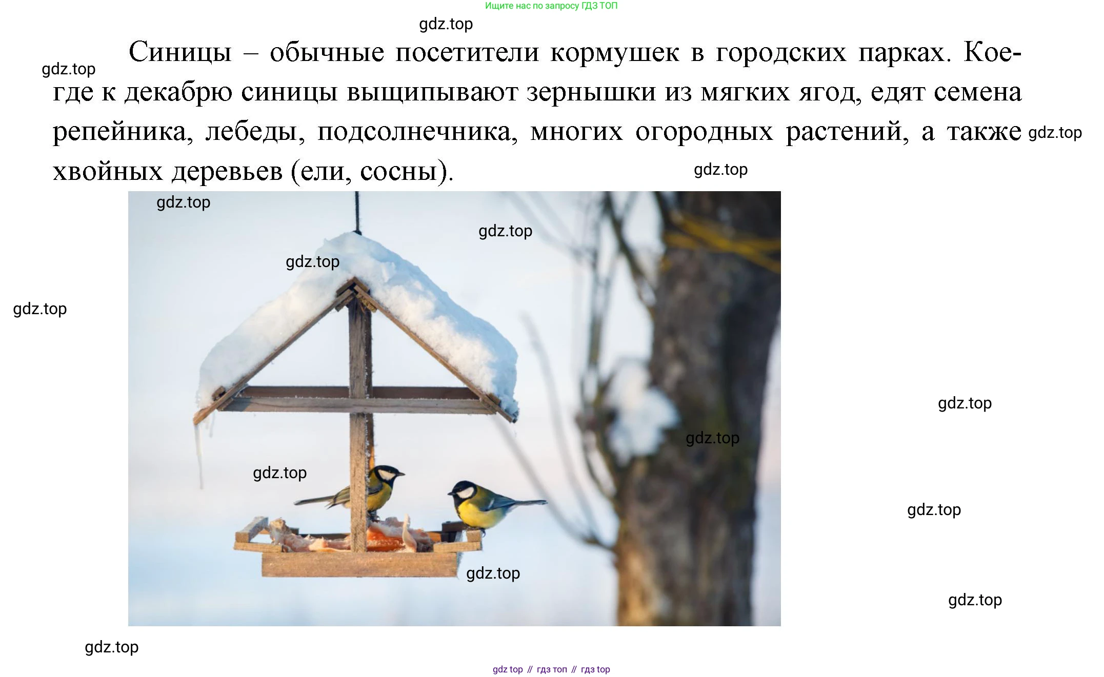 Окружающий мир, 2 класс рабочая тетрадь, авторы: Плешаков Андрей Анатольевич, Новицкая Марина Юрьевна, издательство Просвещение, Москва, 2019, белого цвета, Часть 2, страница 19, номер 3, Решение (продолжение 2)