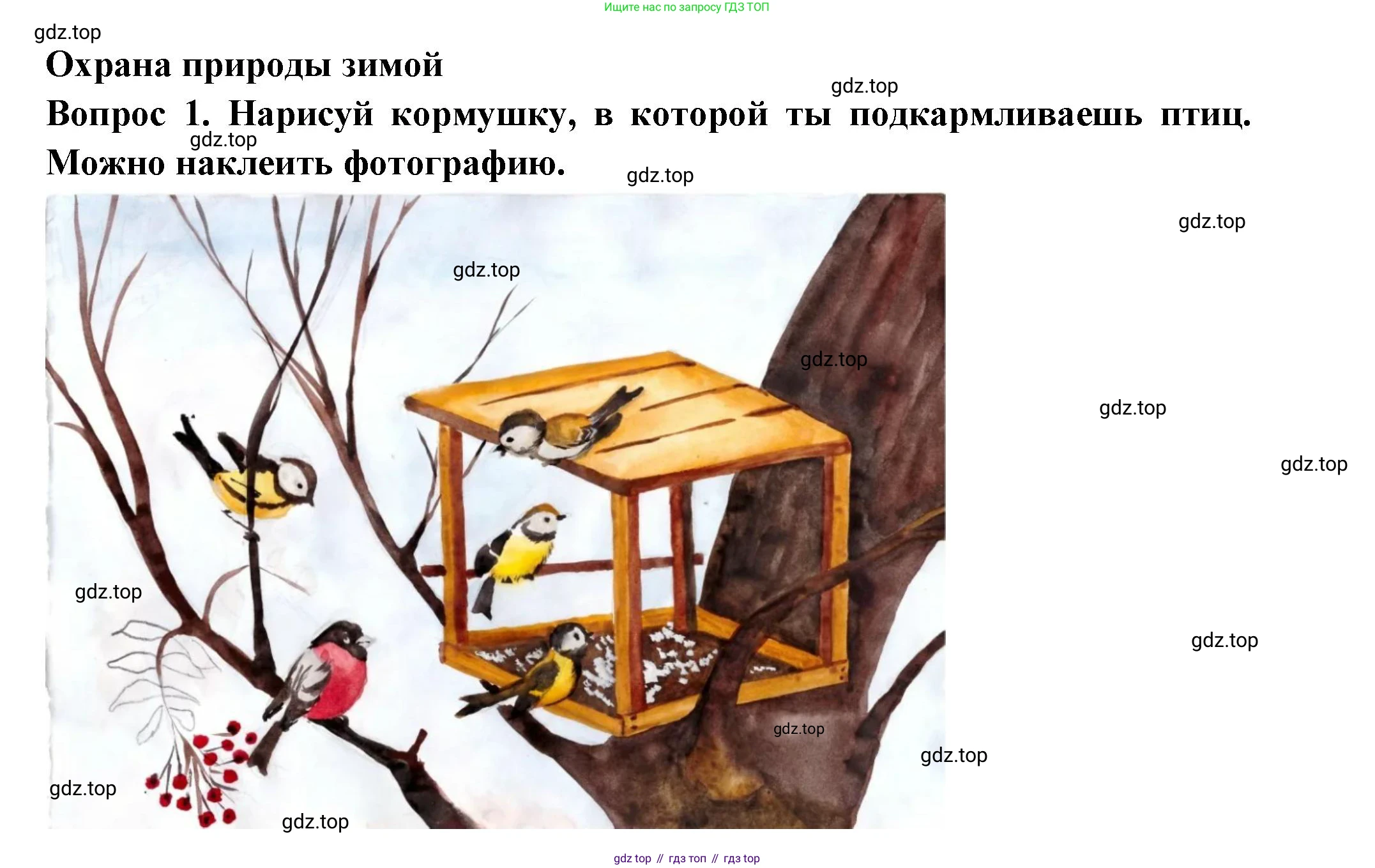 Окружающий мир, 2 класс рабочая тетрадь, авторы: Плешаков Андрей Анатольевич, Новицкая Марина Юрьевна, издательство Просвещение, Москва, 2019, белого цвета, Часть 2, страница 28, номер 1, Решение