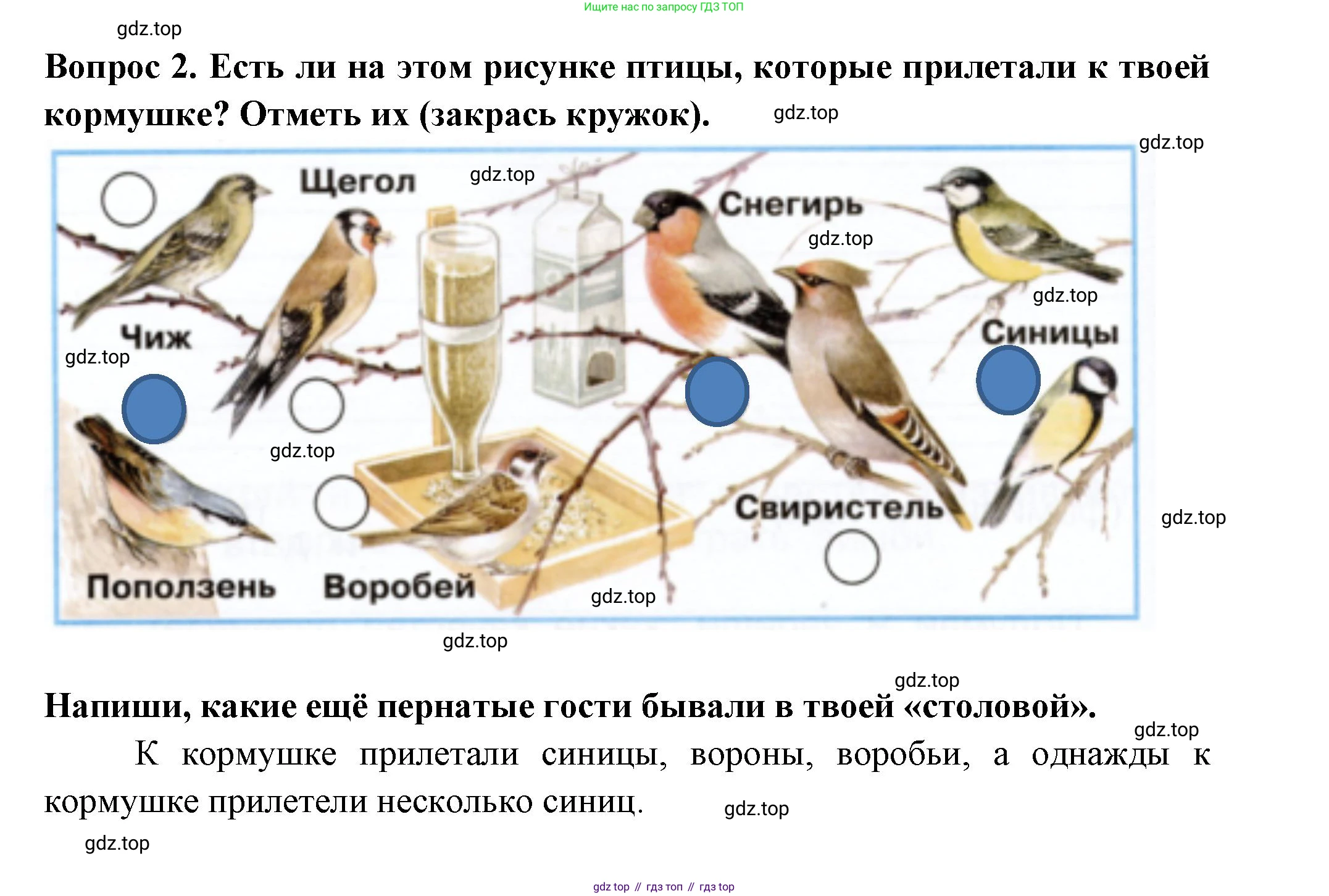 Окружающий мир, 2 класс рабочая тетрадь, авторы: Плешаков Андрей Анатольевич, Новицкая Марина Юрьевна, издательство Просвещение, Москва, 2019, белого цвета, Часть 2, страница 28, номер 2, Решение