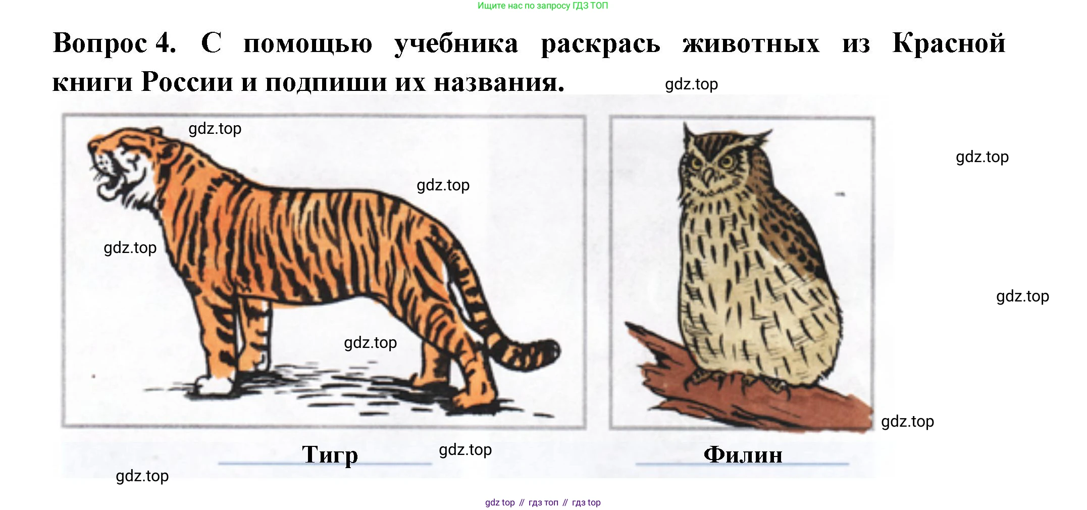 Окружающий мир, 2 класс рабочая тетрадь, авторы: Плешаков Андрей Анатольевич, Новицкая Марина Юрьевна, издательство Просвещение, Москва, 2019, белого цвета, Часть 2, страница 29, номер 4, Решение