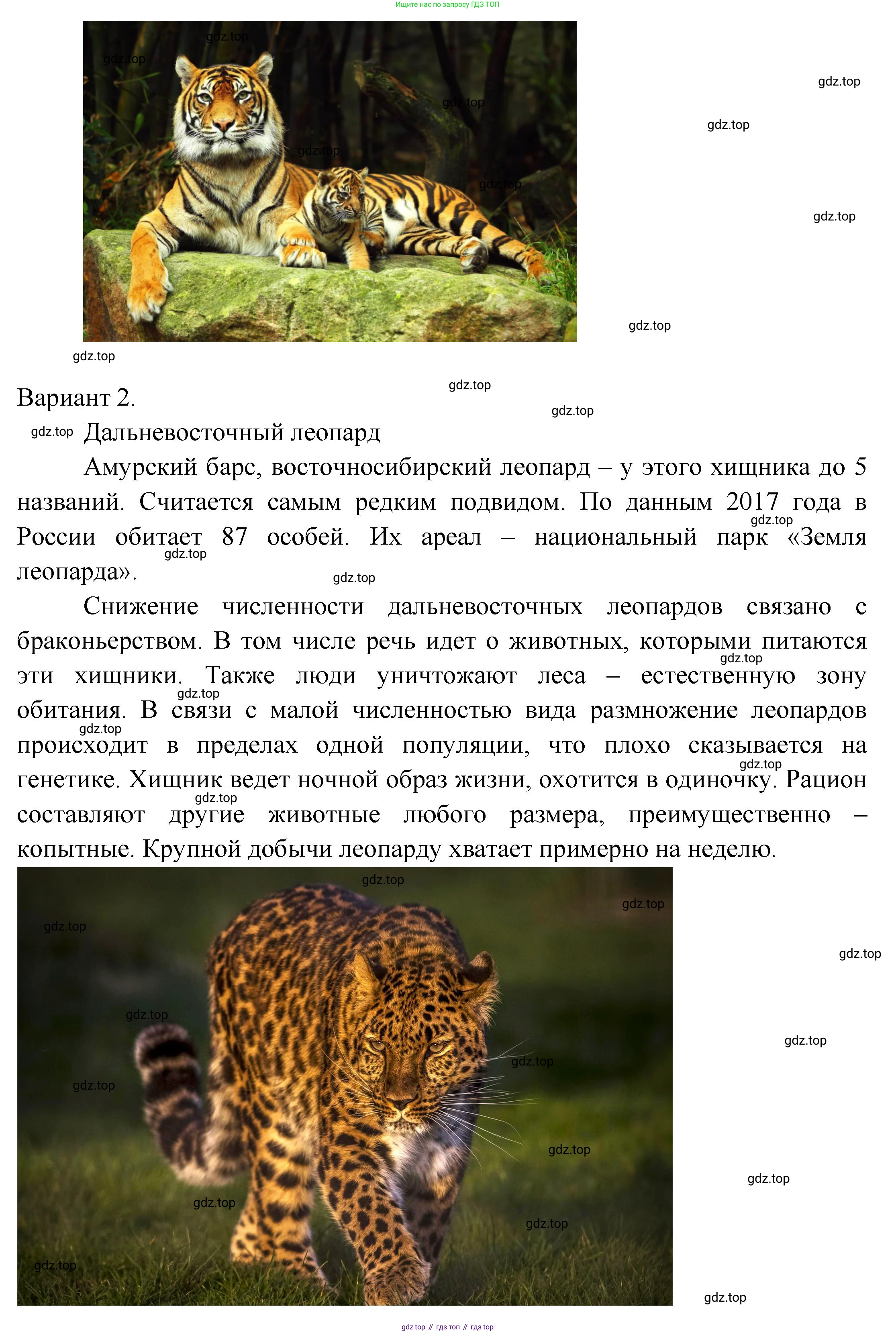 Окружающий мир, 2 класс рабочая тетрадь, авторы: Плешаков Андрей Анатольевич, Новицкая Марина Юрьевна, издательство Просвещение, Москва, 2019, белого цвета, Часть 2, страница 29, номер 5, Решение (продолжение 2)