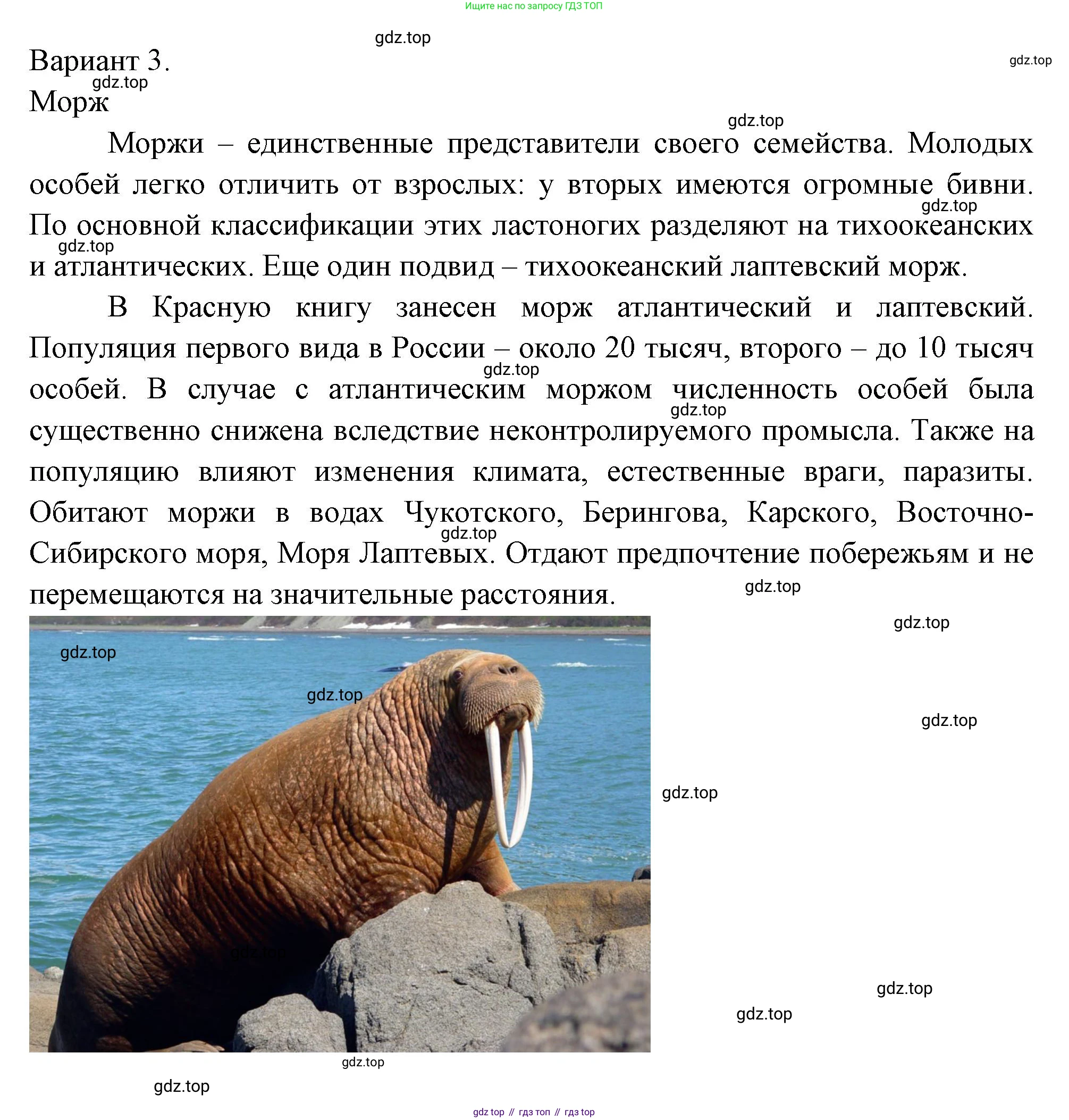 Окружающий мир, 2 класс рабочая тетрадь, авторы: Плешаков Андрей Анатольевич, Новицкая Марина Юрьевна, издательство Просвещение, Москва, 2019, белого цвета, Часть 2, страница 29, номер 5, Решение (продолжение 3)