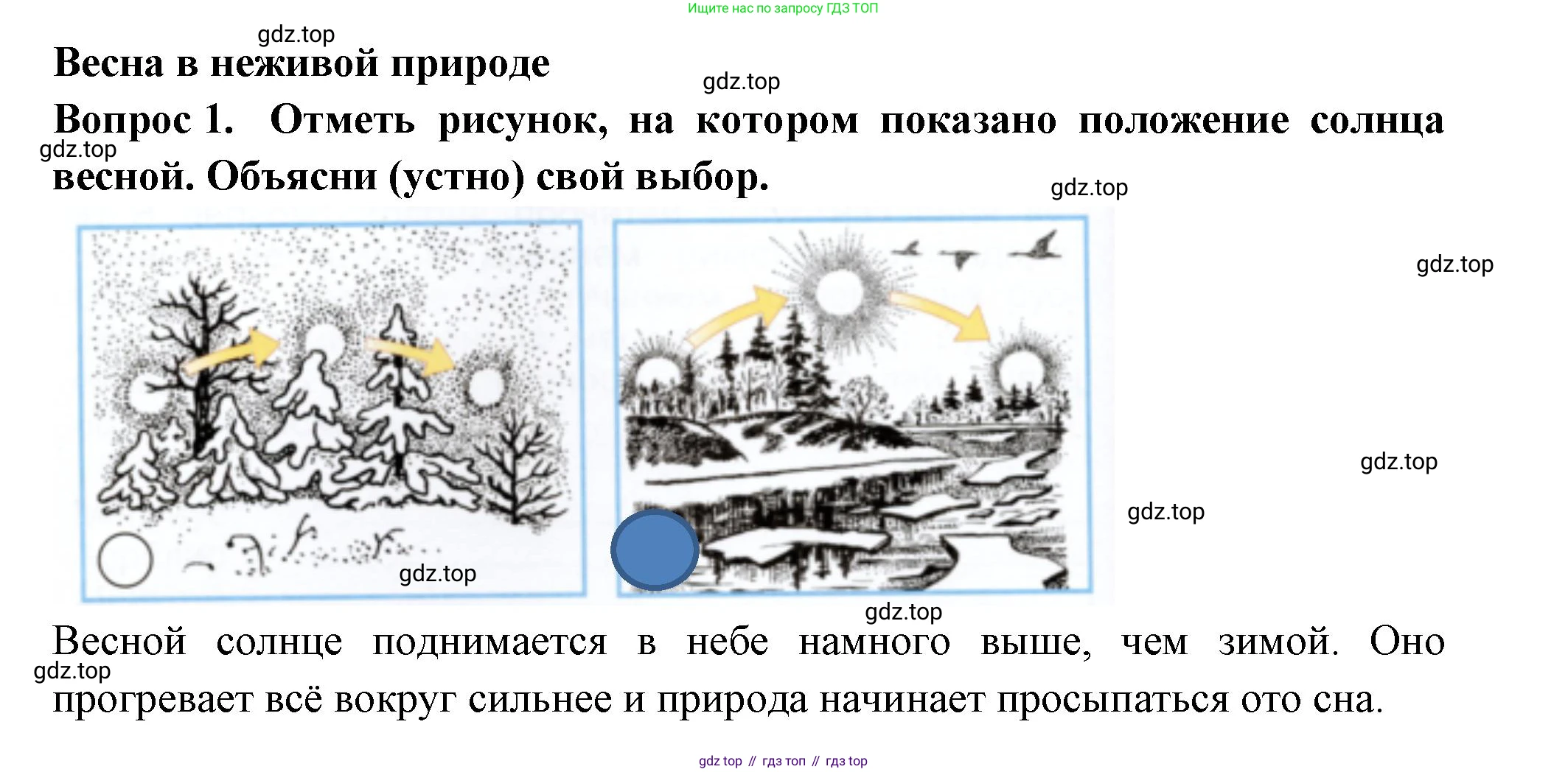 Окружающий мир, 2 класс рабочая тетрадь, авторы: Плешаков Андрей Анатольевич, Новицкая Марина Юрьевна, издательство Просвещение, Москва, 2019, белого цвета, Часть 2, страница 34, номер 1, Решение