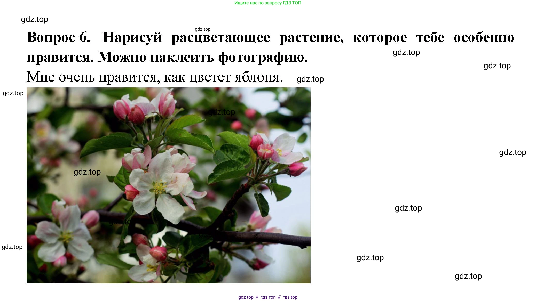 Окружающий мир, 2 класс рабочая тетрадь, авторы: Плешаков Андрей Анатольевич, Новицкая Марина Юрьевна, издательство Просвещение, Москва, 2019, белого цвета, Часть 2, страница 43, номер 6, Решение