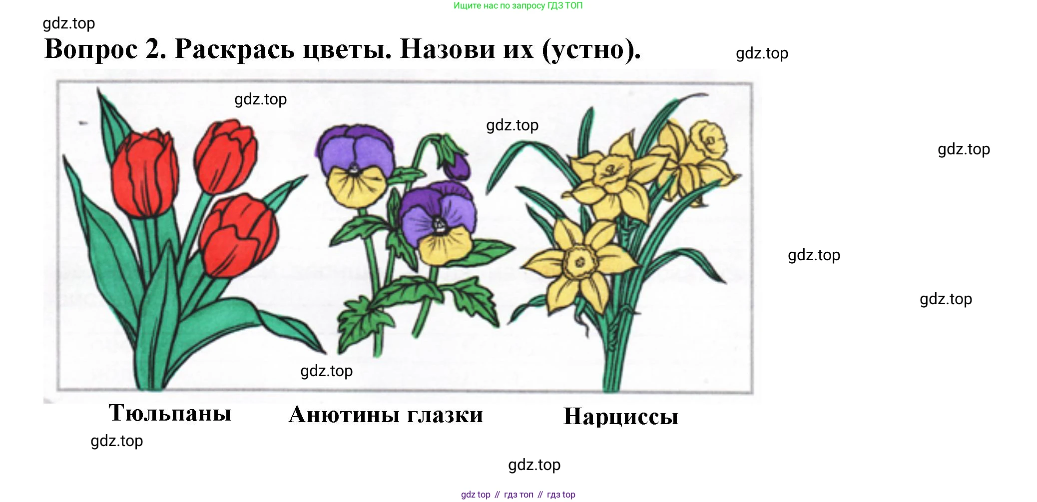 Окружающий мир, 2 класс рабочая тетрадь, авторы: Плешаков Андрей Анатольевич, Новицкая Марина Юрьевна, издательство Просвещение, Москва, 2019, белого цвета, Часть 2, страница 44, номер 2, Решение