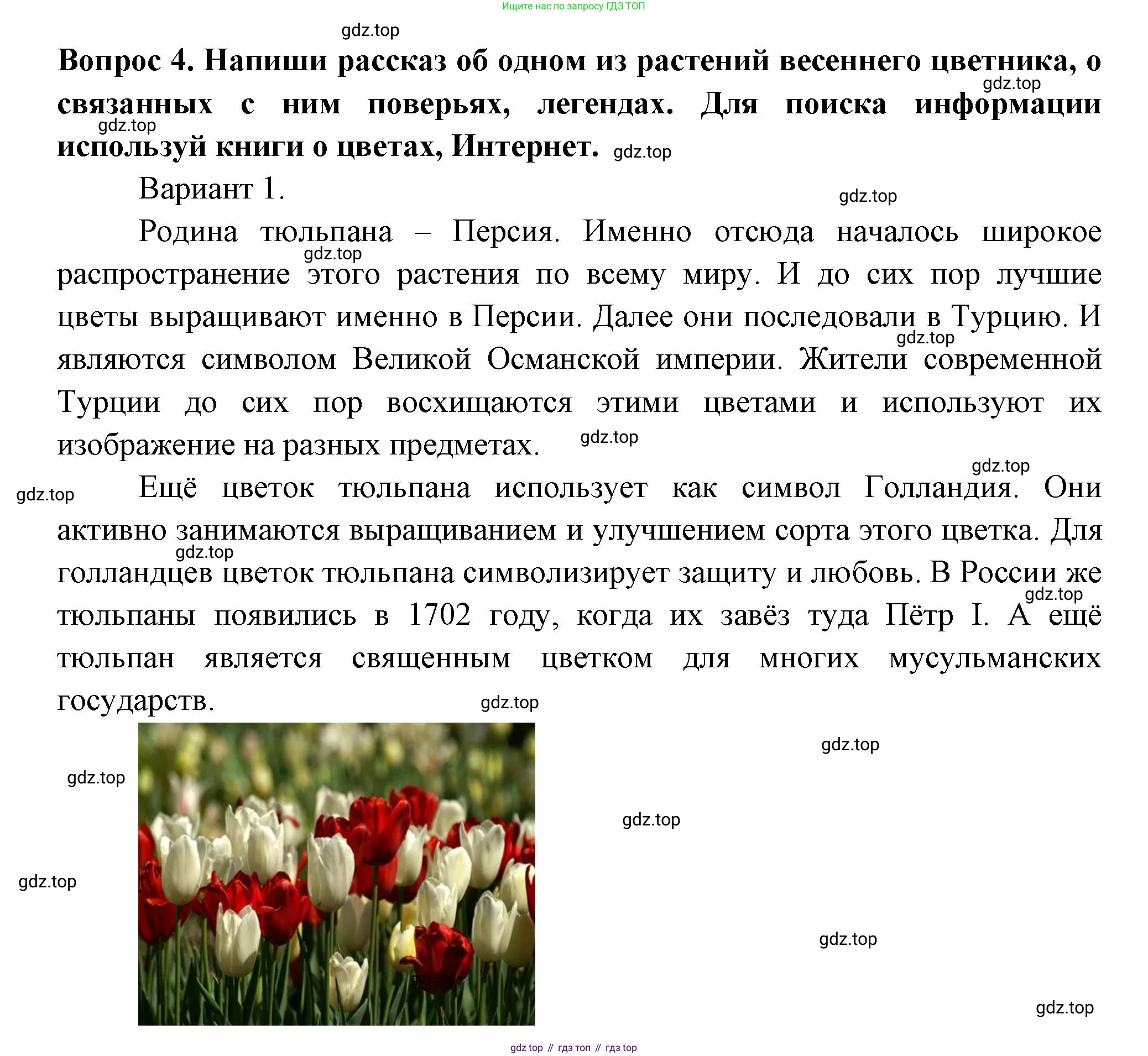 Окружающий мир, 2 класс рабочая тетрадь, авторы: Плешаков Андрей Анатольевич, Новицкая Марина Юрьевна, издательство Просвещение, Москва, 2019, белого цвета, Часть 2, страница 45, номер 4, Решение