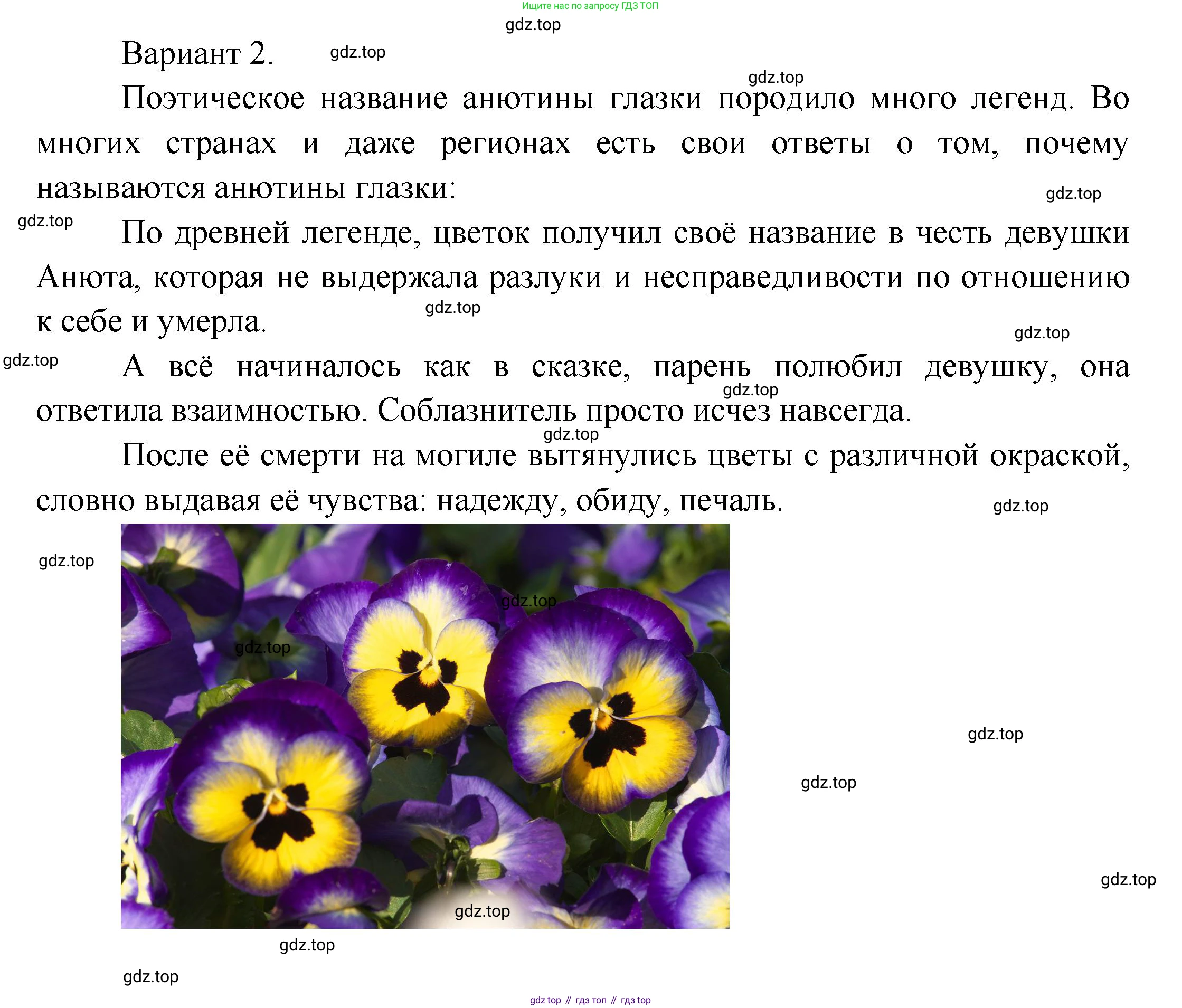 Окружающий мир, 2 класс рабочая тетрадь, авторы: Плешаков Андрей Анатольевич, Новицкая Марина Юрьевна, издательство Просвещение, Москва, 2019, белого цвета, Часть 2, страница 45, номер 4, Решение (продолжение 2)