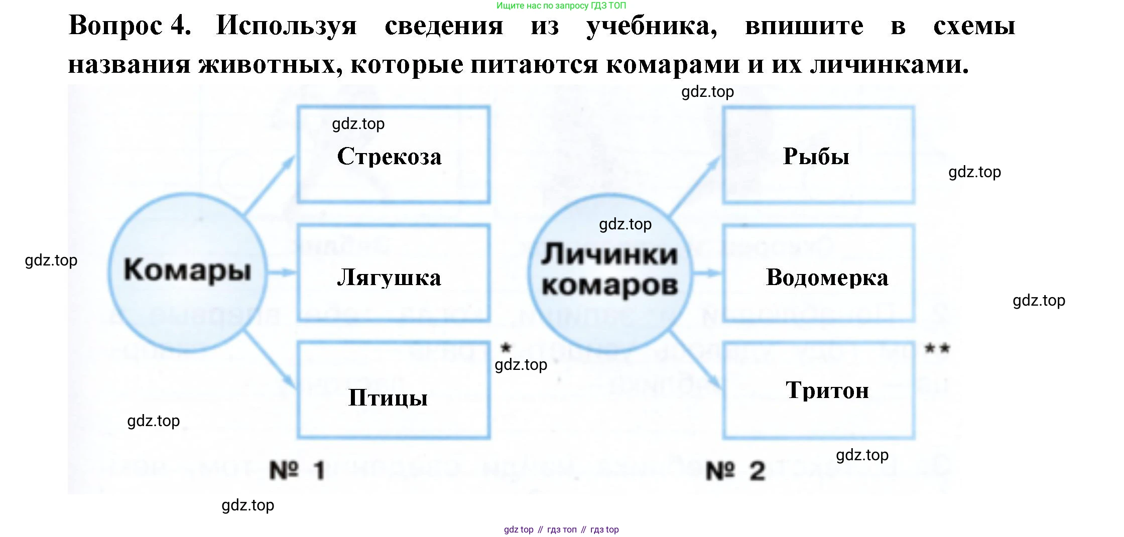 Окружающий мир, 2 класс рабочая тетрадь, авторы: Плешаков Андрей Анатольевич, Новицкая Марина Юрьевна, издательство Просвещение, Москва, 2019, белого цвета, Часть 2, страница 47, номер 4, Решение