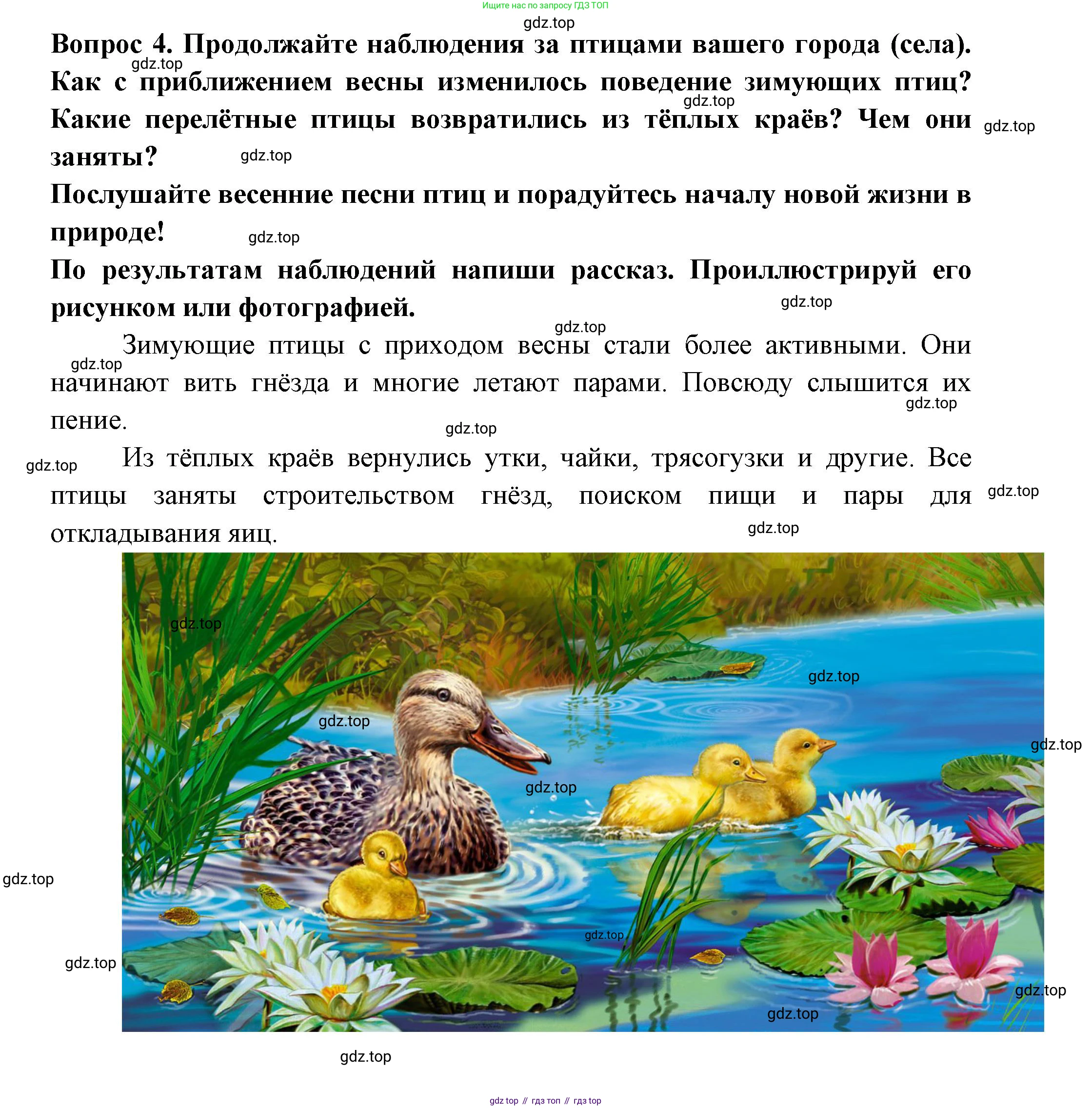 Окружающий мир, 2 класс рабочая тетрадь, авторы: Плешаков Андрей Анатольевич, Новицкая Марина Юрьевна, издательство Просвещение, Москва, 2019, белого цвета, Часть 2, страница 49, номер 4, Решение
