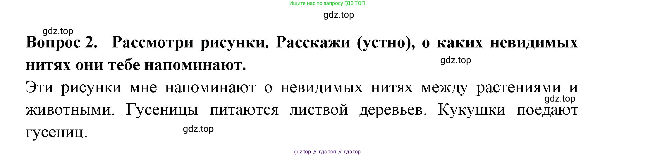 Окружающий мир, 2 класс рабочая тетрадь, авторы: Плешаков Андрей Анатольевич, Новицкая Марина Юрьевна, издательство Просвещение, Москва, 2019, белого цвета, Часть 2, страница 51, номер 2, Решение