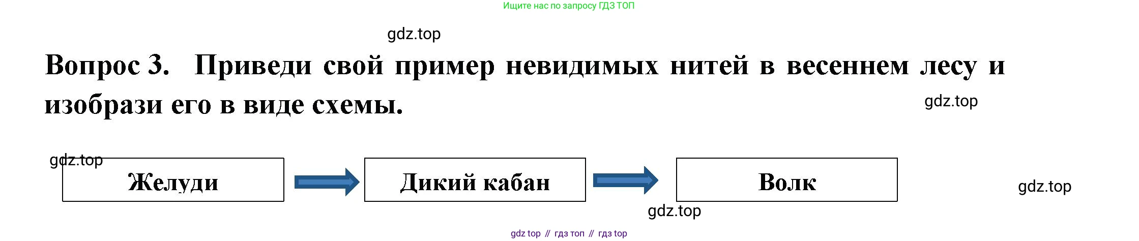 Окружающий мир, 2 класс рабочая тетрадь, авторы: Плешаков Андрей Анатольевич, Новицкая Марина Юрьевна, издательство Просвещение, Москва, 2019, белого цвета, Часть 2, страница 51, номер 3, Решение