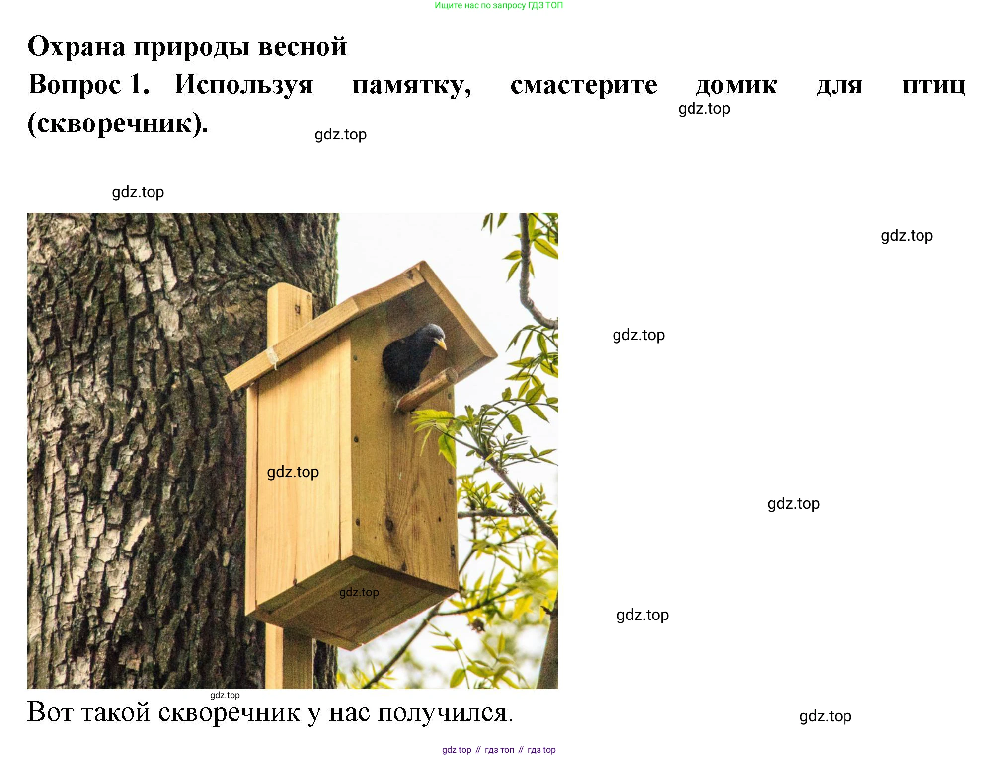 Окружающий мир, 2 класс рабочая тетрадь, авторы: Плешаков Андрей Анатольевич, Новицкая Марина Юрьевна, издательство Просвещение, Москва, 2019, белого цвета, Часть 2, страница 58, номер 1, Решение