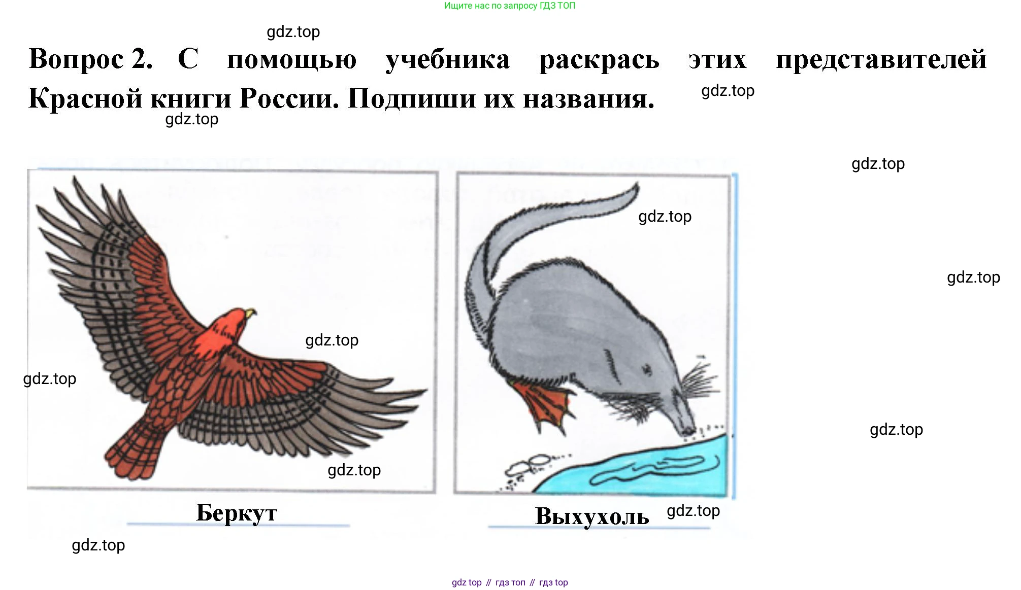 Окружающий мир, 2 класс рабочая тетрадь, авторы: Плешаков Андрей Анатольевич, Новицкая Марина Юрьевна, издательство Просвещение, Москва, 2019, белого цвета, Часть 2, страница 59, номер 2, Решение