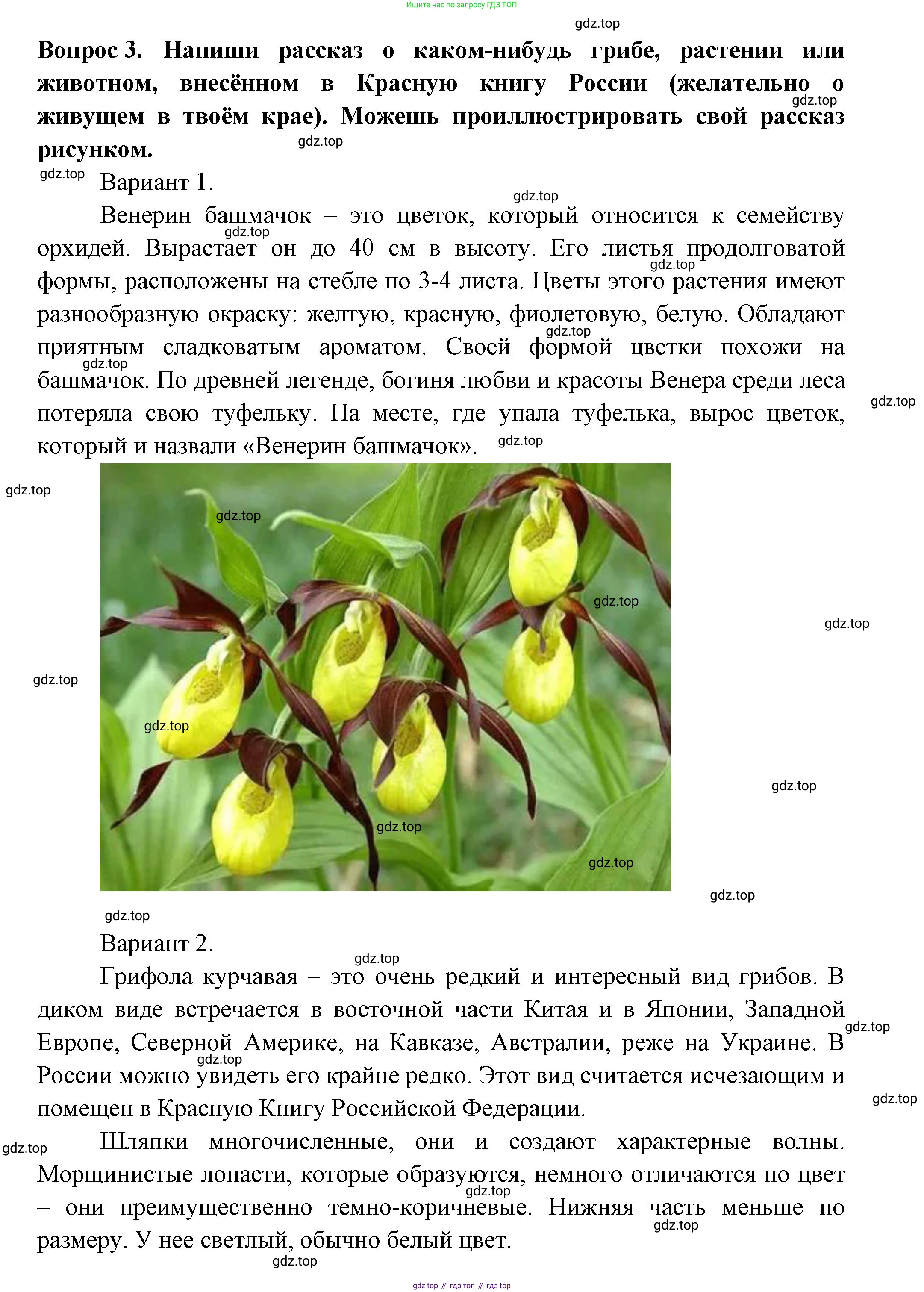 ГДЗ Окружающий мир, 2 класс рабочая тетрадь, авторы: Плешаков Андрей Анатольевич, Новицкая Марина Юрьевна, издательство Просвещение, Москва, 2019, белого цвета, Часть 2, страница 59, номер 3, Решение