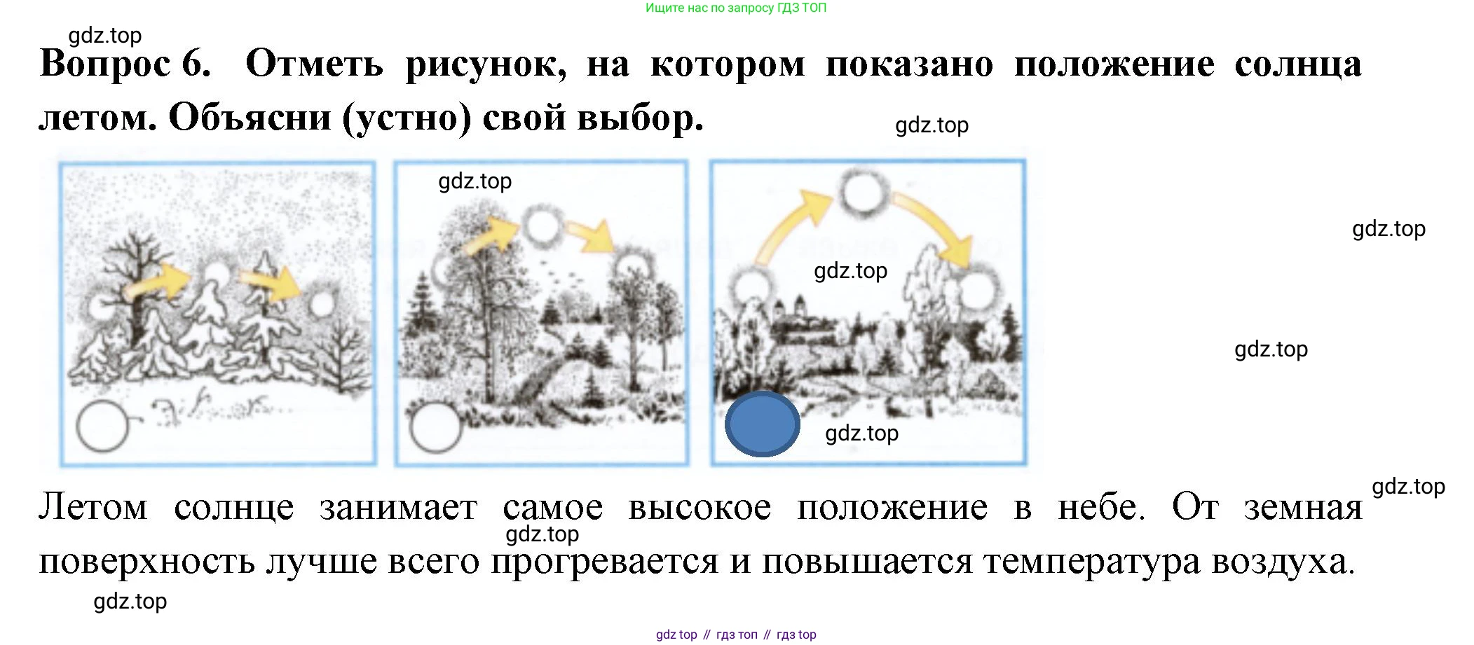 Окружающий мир, 2 класс рабочая тетрадь, авторы: Плешаков Андрей Анатольевич, Новицкая Марина Юрьевна, издательство Просвещение, Москва, 2019, белого цвета, Часть 2, страница 64, номер 6, Решение