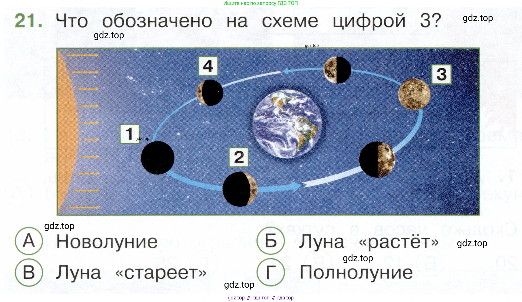 ГДЗ Окружающий мир, 2 класс Тесты, авторы: Плешаков Андрей Анатольевич, Новицкая Марина Юрьевна, Назарова З Д, издательство Просвещение, Москва, 2019, белого цвета, страница 8, номер 21, Условие