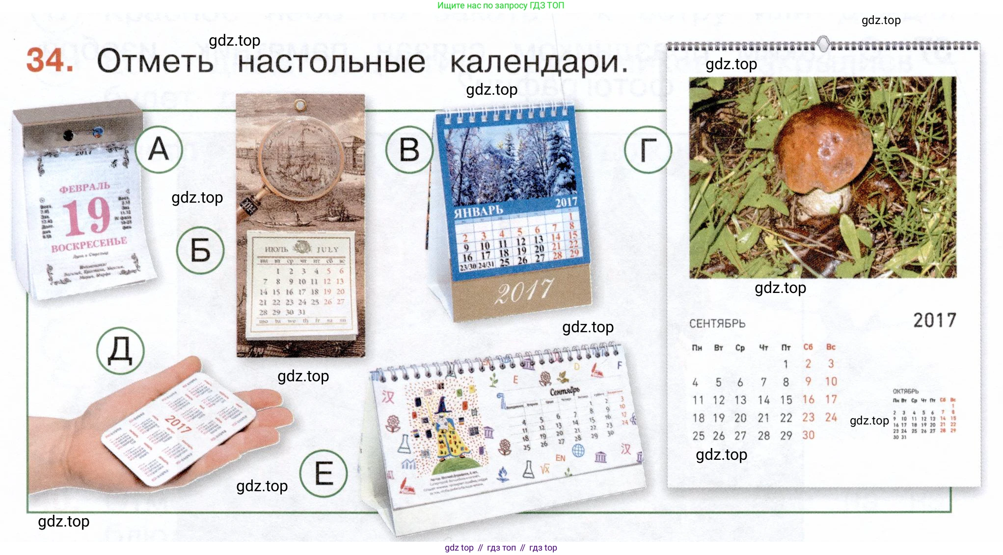 ГДЗ Окружающий мир, 2 класс Тесты, авторы: Плешаков Андрей Анатольевич, Новицкая Марина Юрьевна, Назарова З Д, издательство Просвещение, Москва, 2019, белого цвета, страница 13, номер 34, Условие