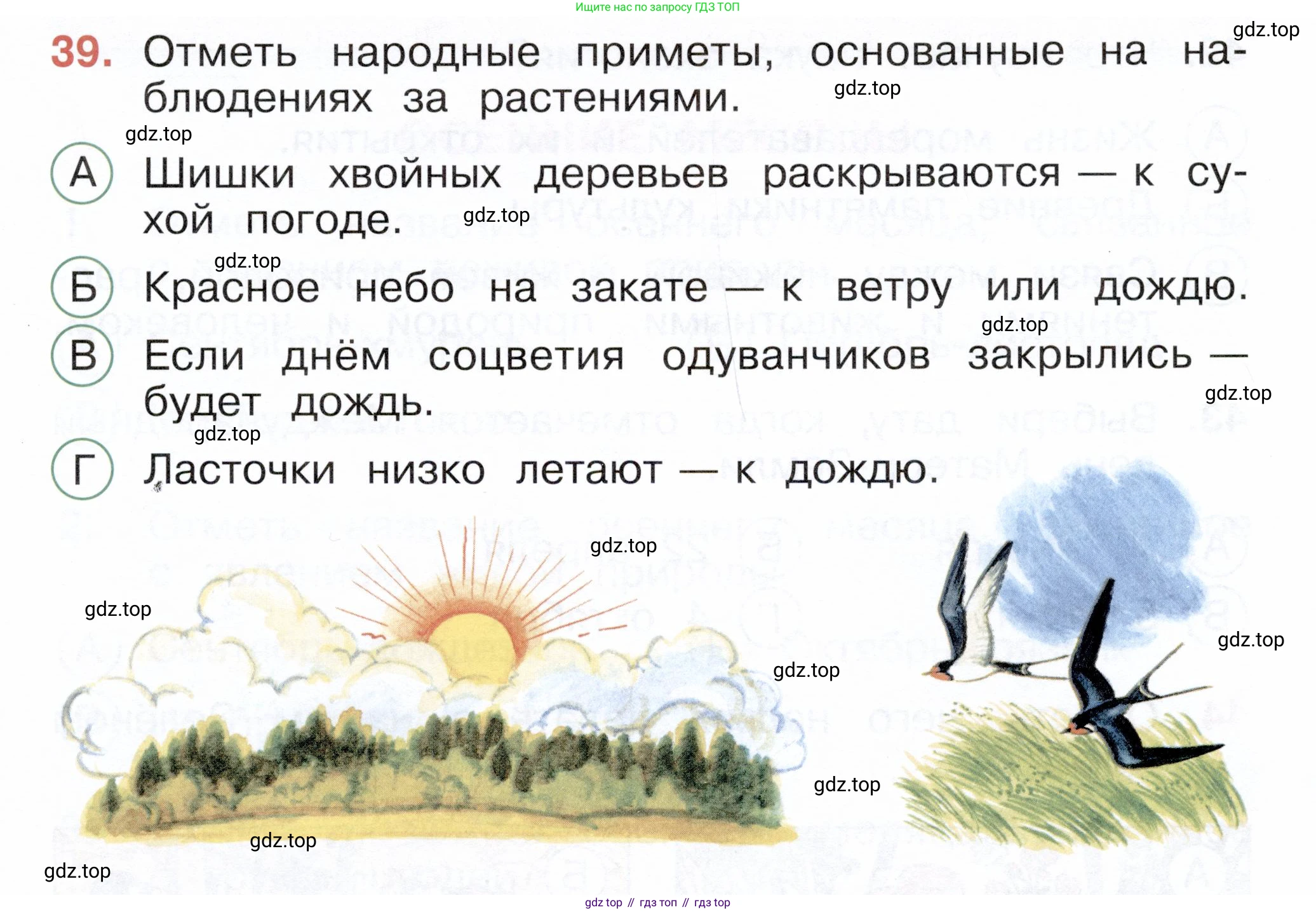 ГДЗ Окружающий мир, 2 класс Тесты, авторы: Плешаков Андрей Анатольевич, Новицкая Марина Юрьевна, Назарова З Д, издательство Просвещение, Москва, 2019, белого цвета, страница 15, номер 39, Условие